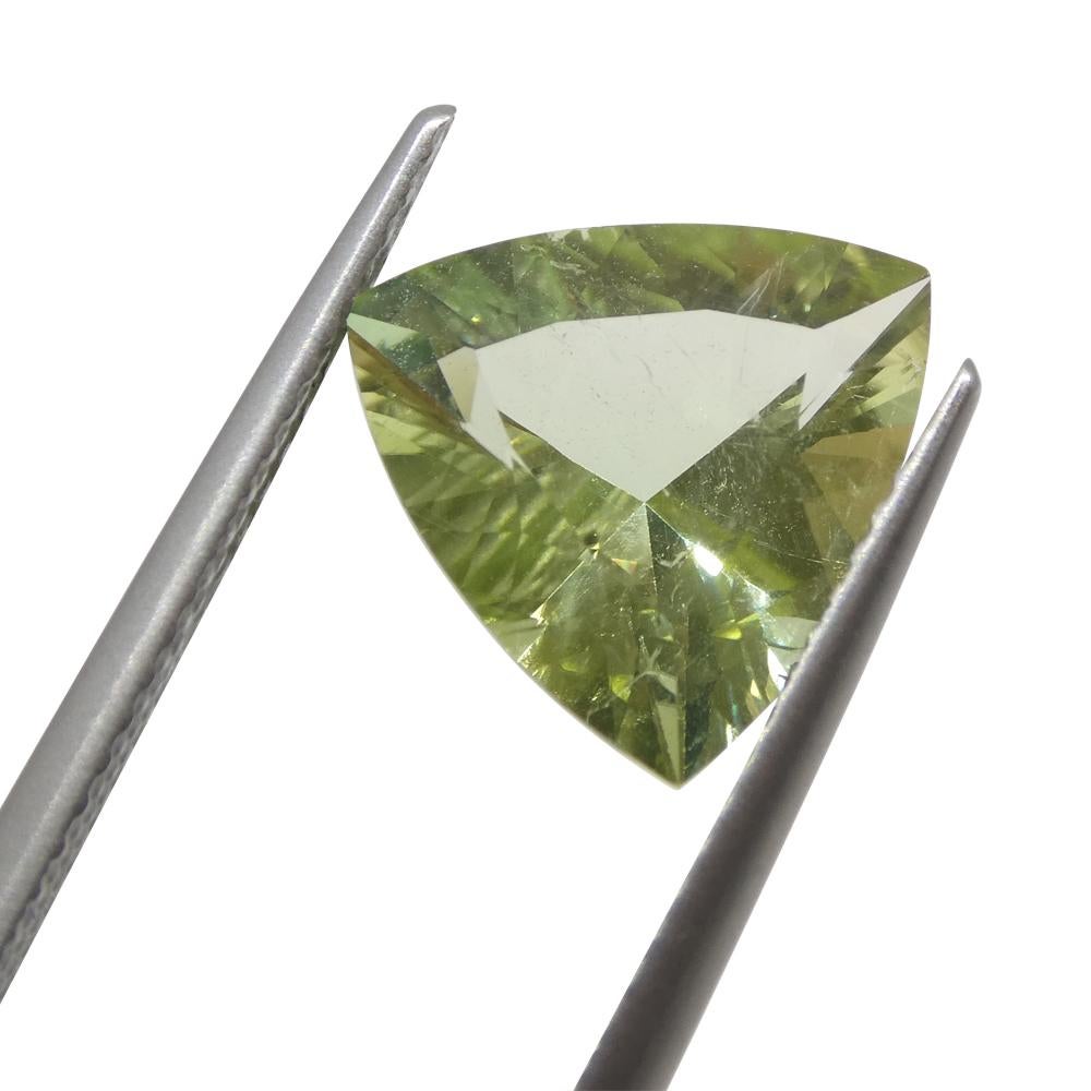 3.29ct Trillion Green Tourmaline from Brazil For Sale 7
