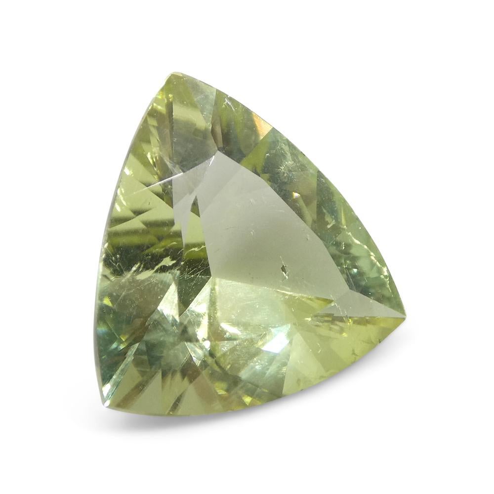 3.29ct Trillion Green Tourmaline from Brazil For Sale 1