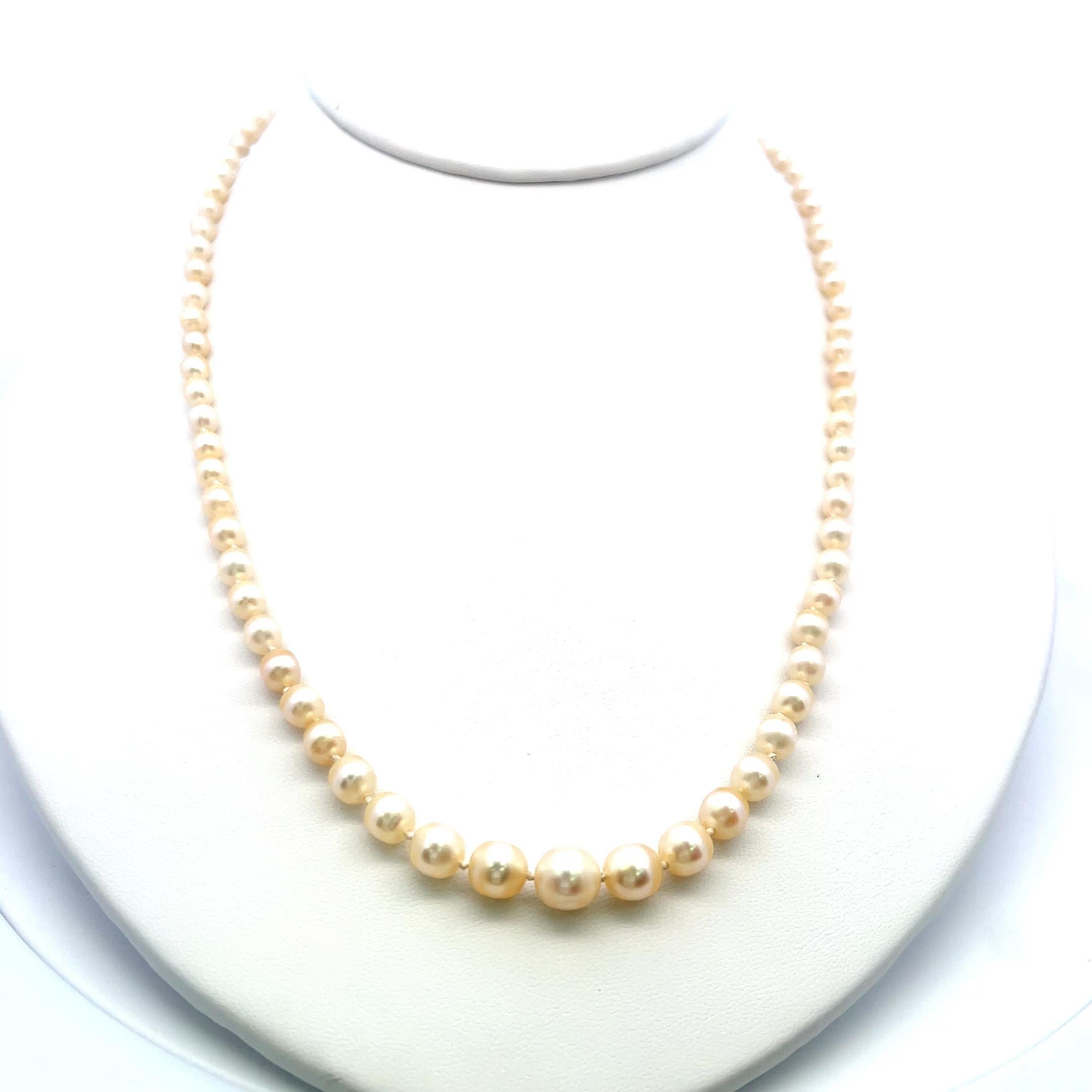 3,3-7,6 MM Perle 0,74 Karat Diamant 18K Gelbgold Beed Halskette Damen im Angebot