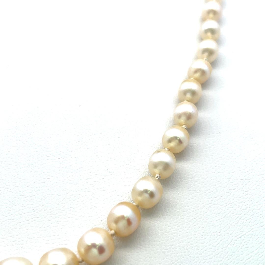 3,3-7,6 MM Perle 0,74 Karat Diamant 18K Gelbgold Beed Halskette im Angebot 1
