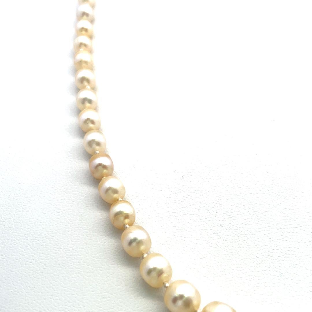 3,3-7,6 MM Perle 0,74 Karat Diamant 18K Gelbgold Beed Halskette im Angebot 2