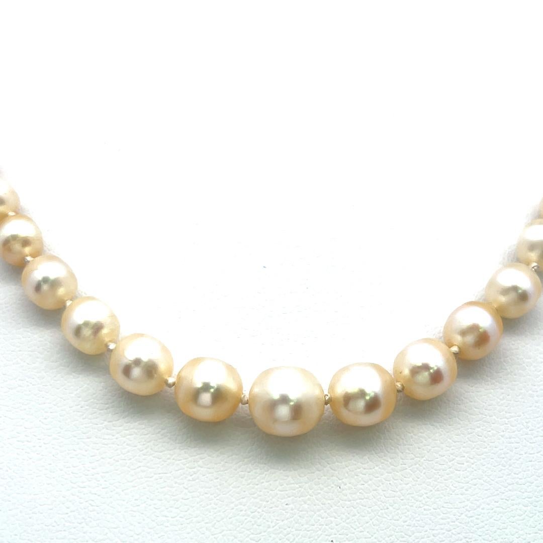 3,3-7,6 MM Perle 0,74 Karat Diamant 18K Gelbgold Beed Halskette im Angebot 3