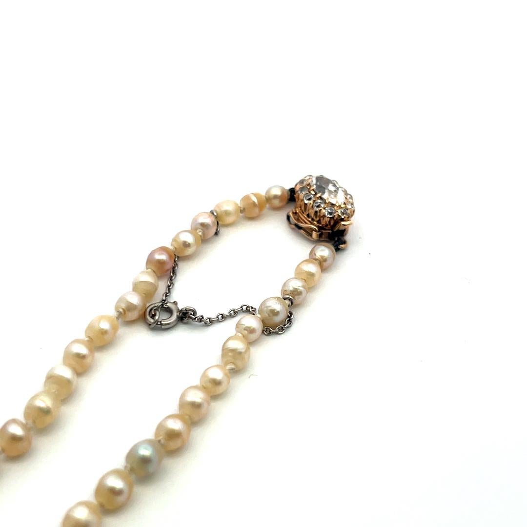 3,3-7,6 MM Perle 0,74 Karat Diamant 18K Gelbgold Beed Halskette im Angebot 4