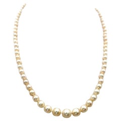 Beaded Necklaces