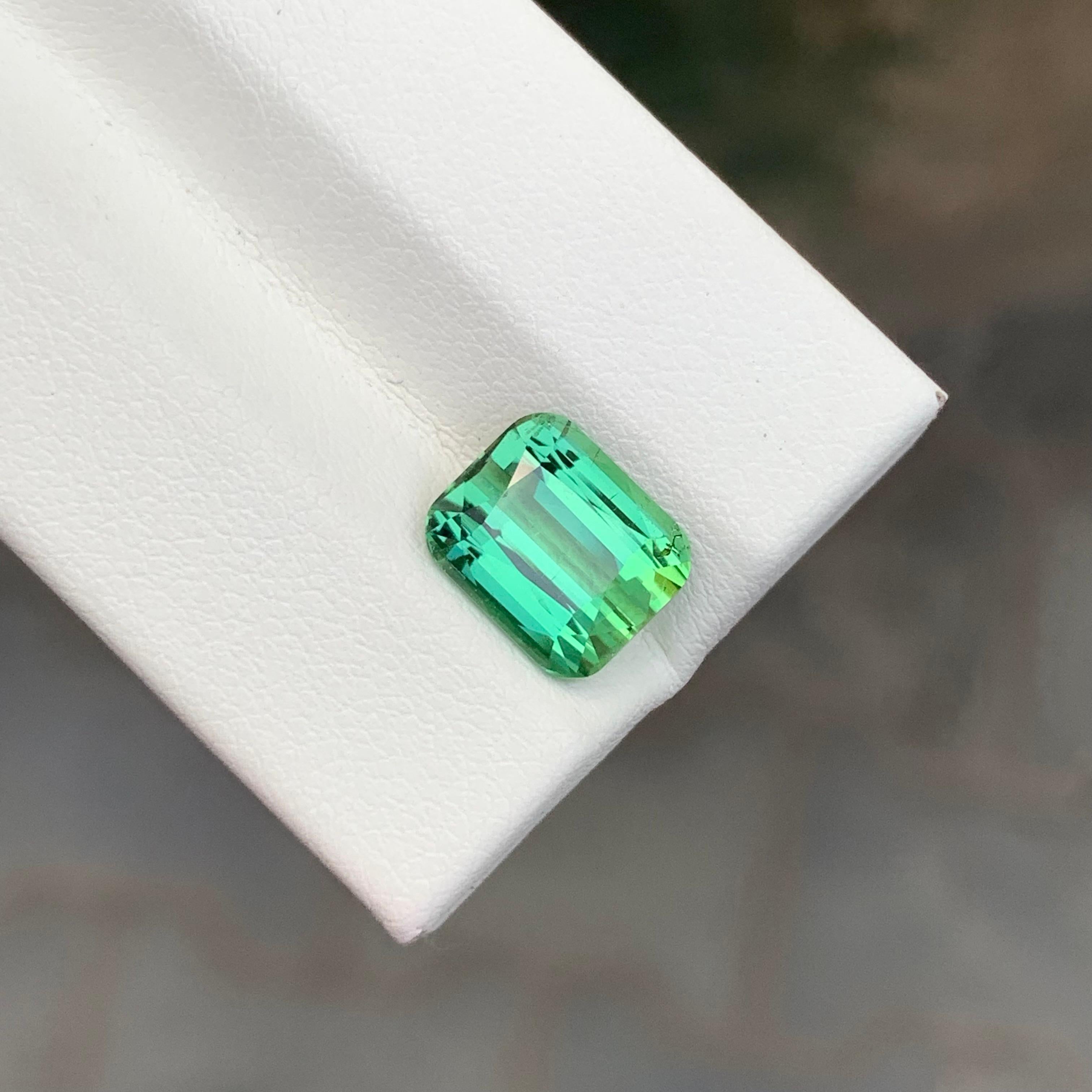 Tormalina sfaccettata 

Peso: 3,30 Carati
Dimensioni: 9,1 x 7,6 x 5,6 mm 
Trattamento: Non
Certificato: Su richiesta del cliente
Forma: Cuscino 
Colore: Verde Primavera 


La tormalina è una gemma affascinante nota per la sua notevole varietà di