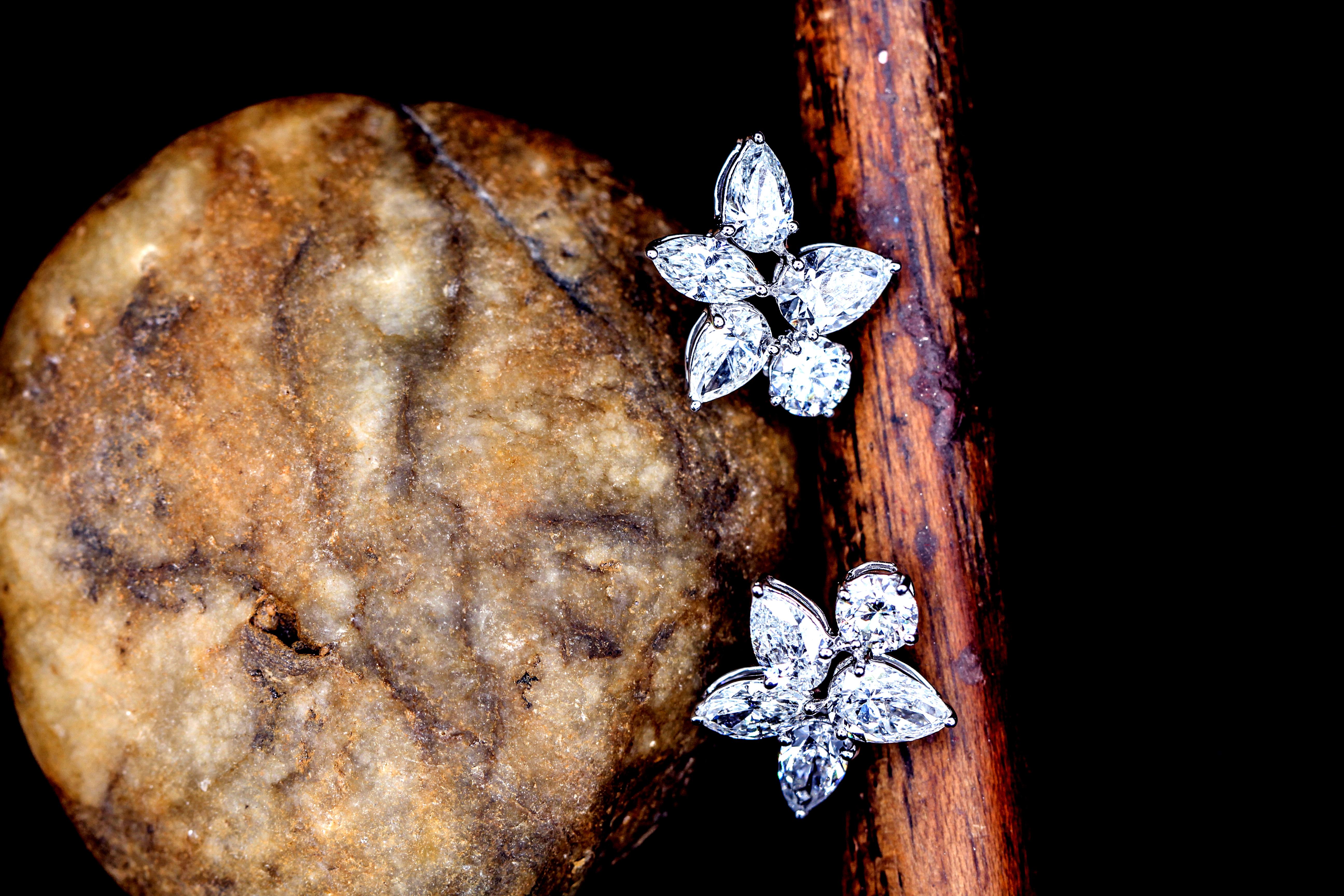 star cluster earrings