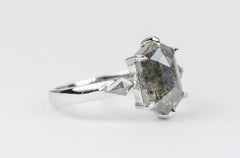 3.32 Hexagon Salt and Pepper Diamond 14K White Gold Engagement Ring AD1993-2