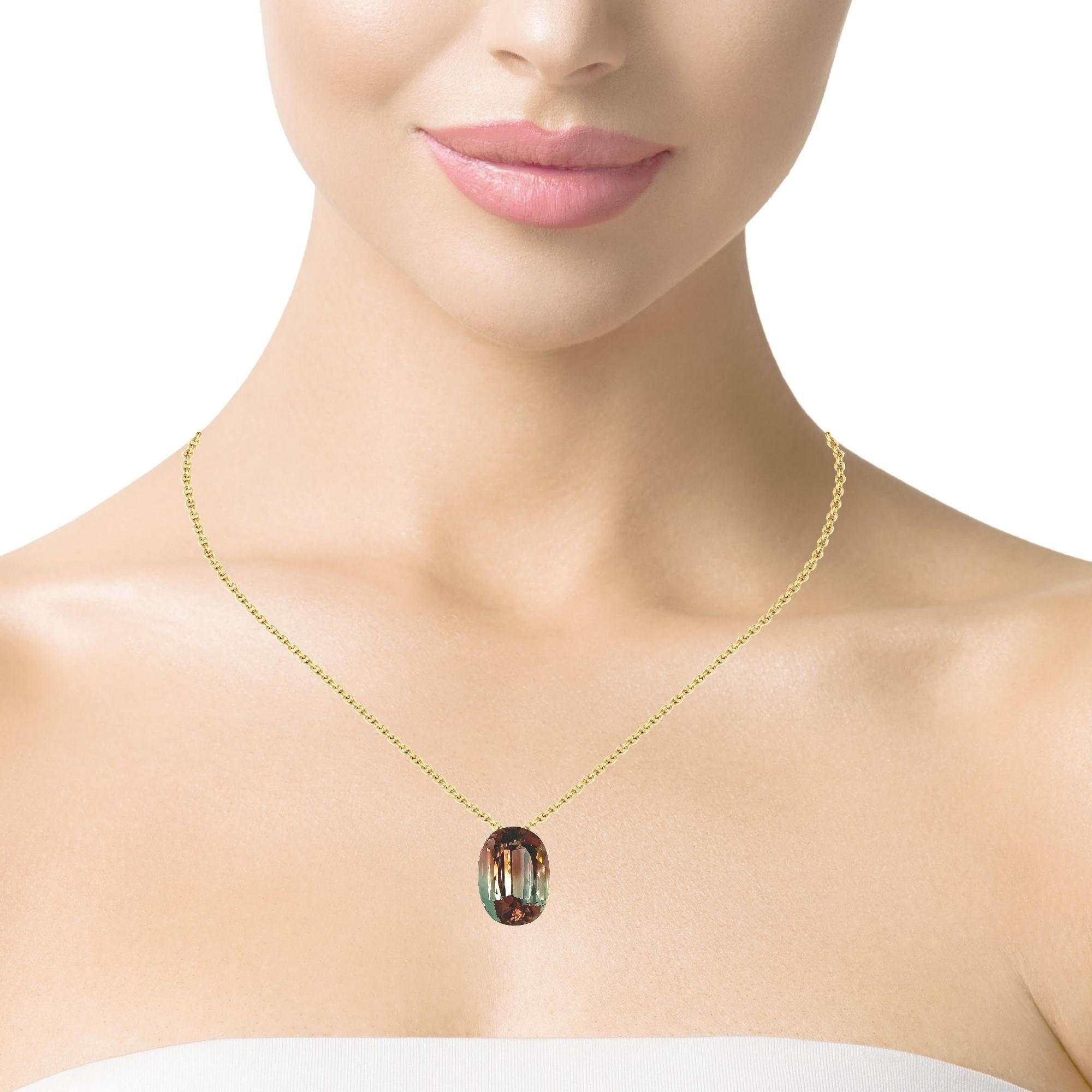 33,40 Karat Bi-Color Turmalin Oval, nicht gefasst Loser Edelstein im Angebot 3