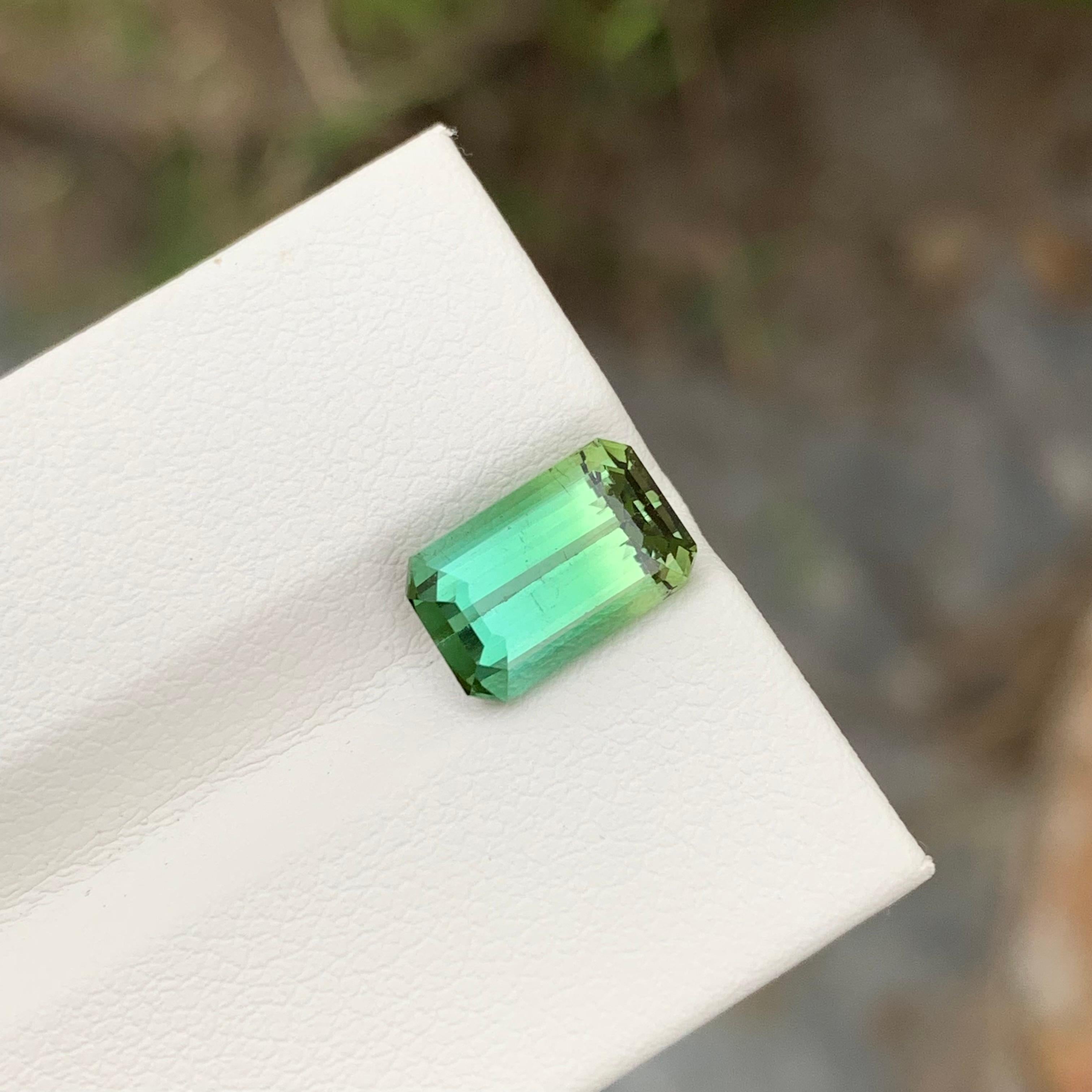 Loose Bi Colour Tourmaline

Weight: 3.35 Carats
Dimension: 10 x 6.3 x 6.7 Mm
Colour: Green And Yellow 
Origin: Africa 
Certificate: On Demand
Treatment: Non

Tourmaline is a captivating gemstone known for its remarkable variety of colors, making it
