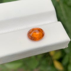 3.35 Carat Natural Loose Fanta Spessartite Garnet Cushion Shape Gemstone (pierre précieuse en forme de coussin)