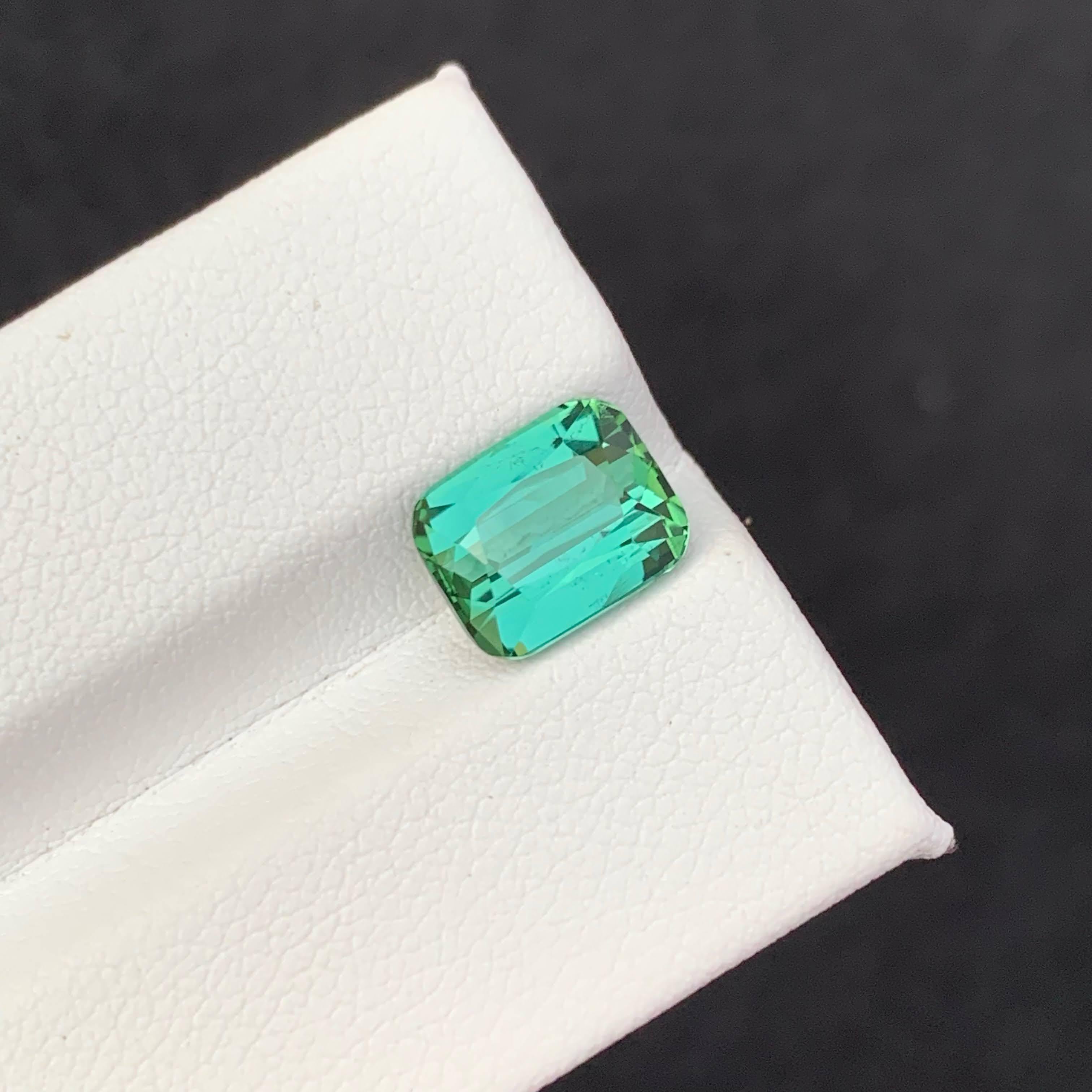 3.35 Carat Natural Loose Mint Green Tourmaline Cushion Cut Afghan Gemstone (pierre précieuse afghane) en vente 4