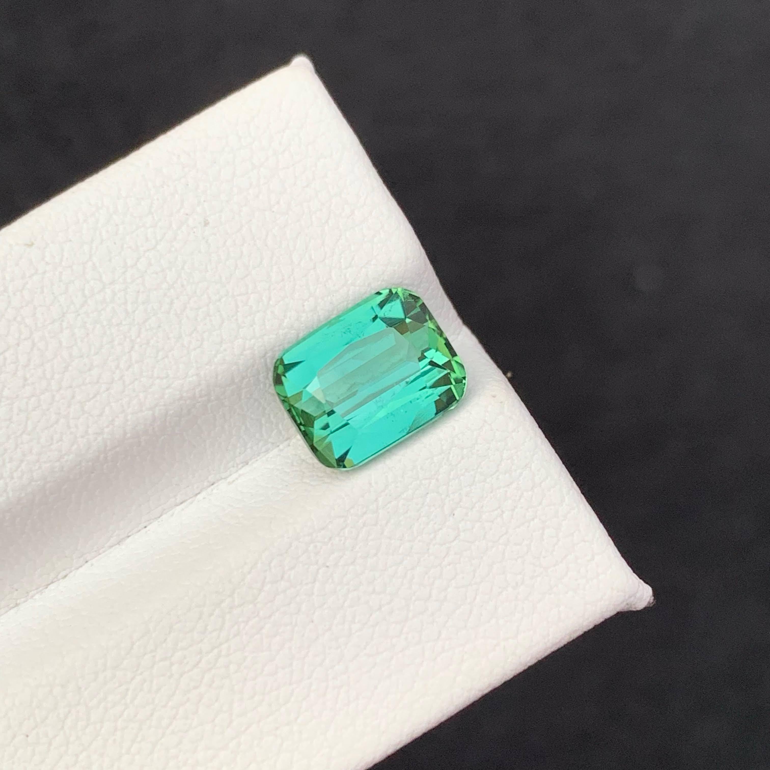 3.35 Carat Natural Loose Mint Green Tourmaline Cushion Cut Afghan Gemstone (pierre précieuse afghane) en vente 5