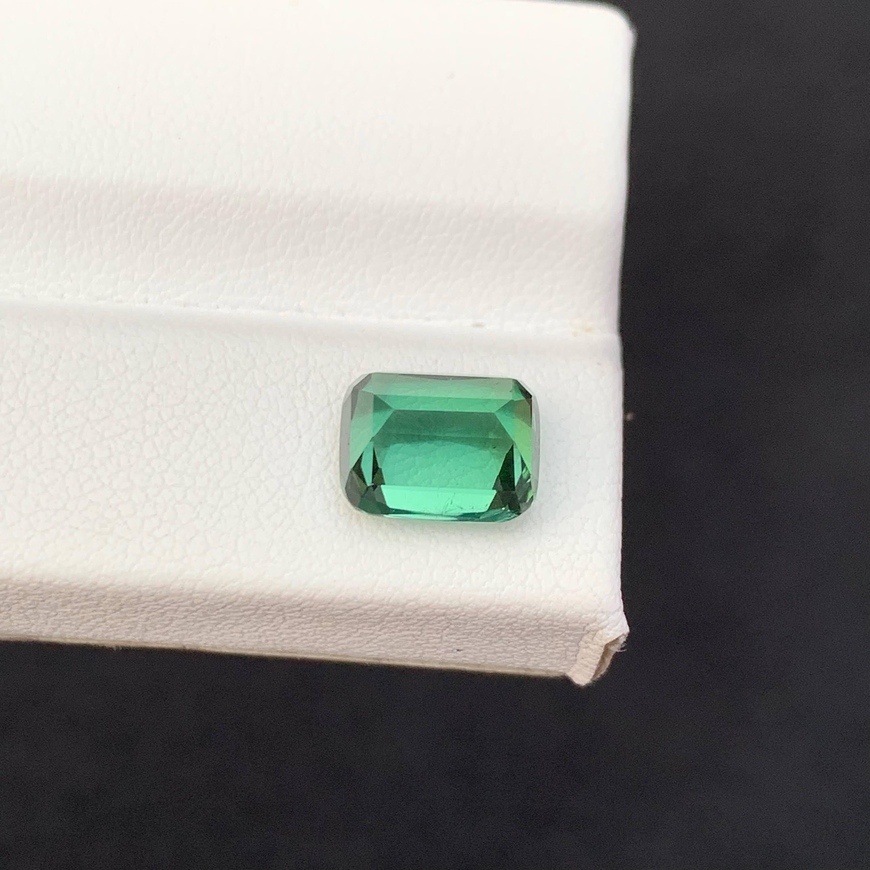 3.35 Carat Natural Loose Mint Green Tourmaline Cushion Cut Afghan Gemstone (pierre précieuse afghane) Unisexe en vente
