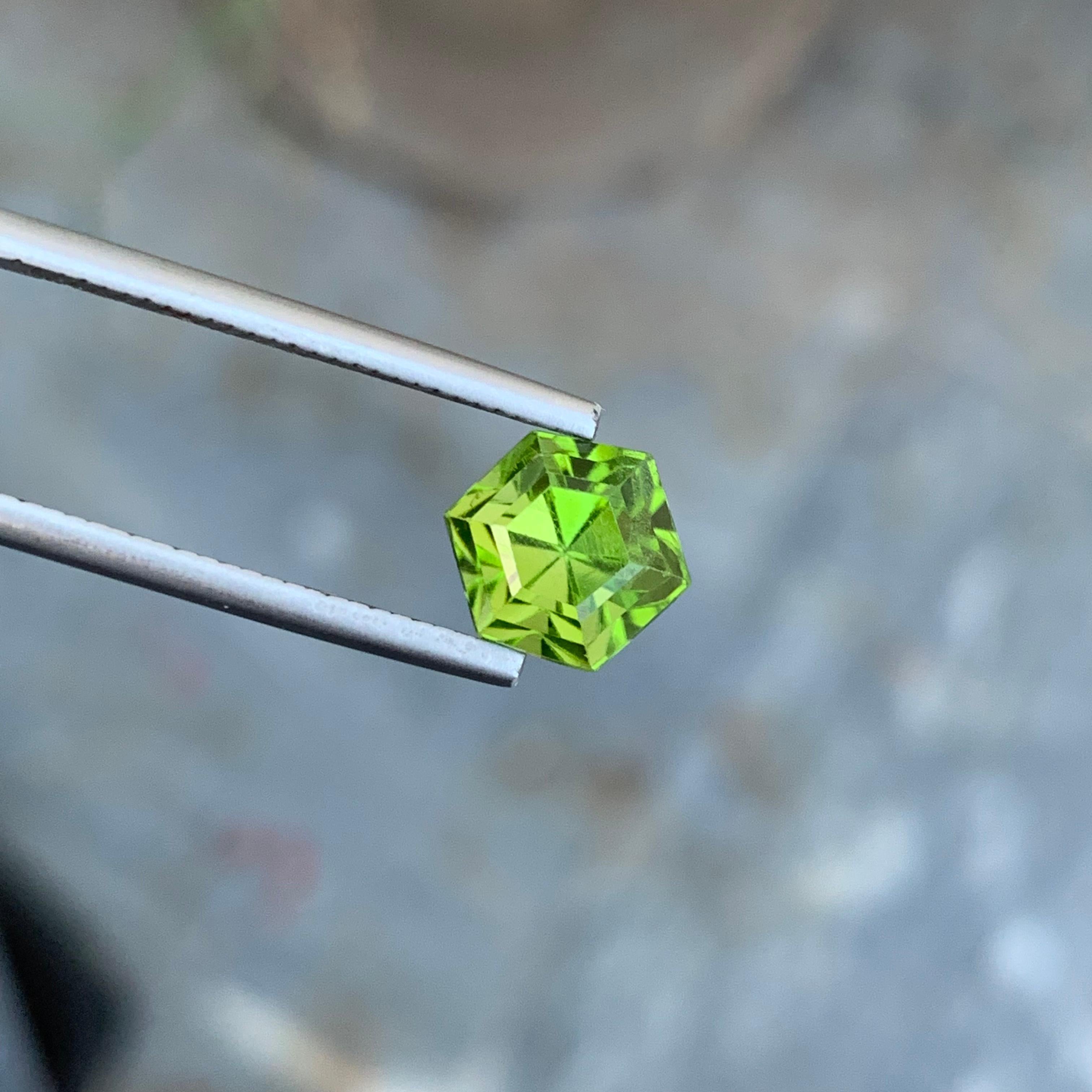 3.35 Carats Loose Hexagon Green Peridot Ring Gemstone From Supat Valley Mine For Sale 9