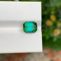 Maravillosa turmalina verde azul natural suelta de 3,40 quilates en forma de cojín