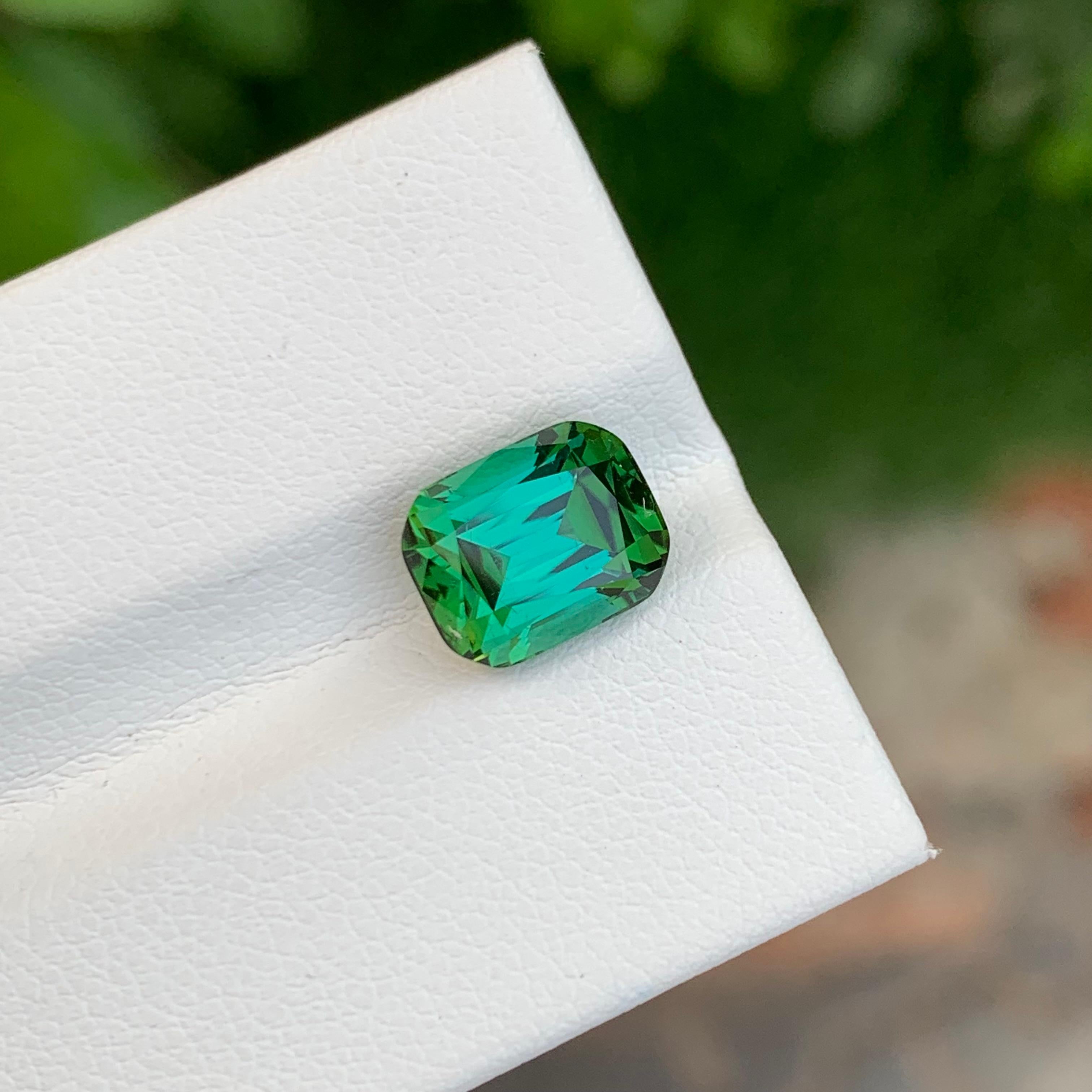 3.40 Carat Marvellous Natural Loose Blue Green Tourmaline Cushion Shape Gemstone (pierre précieuse en forme de coussin) en vente 3