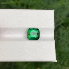 3,40 Karat Natürlicher loser grüner Turmalin Cushion-Schliff Afghanischer Edelstein
