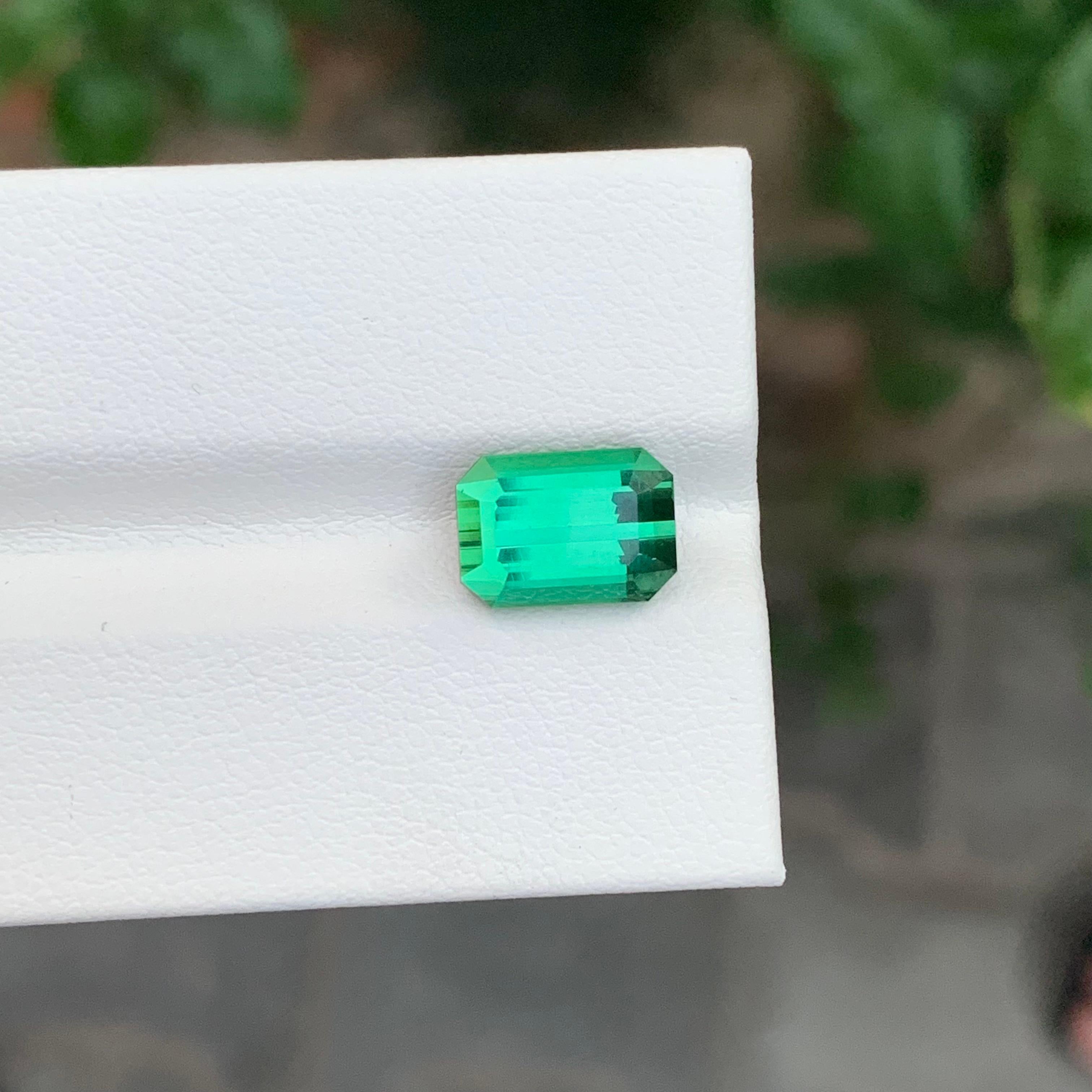 Tourmaline verte facettée

Poids : 3,40 carats
Dimension : 9,8 x 7 x 5,5 mm
Couleur : Vert
Traitement : Non
Certificat : Sur demande du client
Forme : Émeraude 


La tourmaline est une pierre précieuse captivante connue pour sa remarquable variété