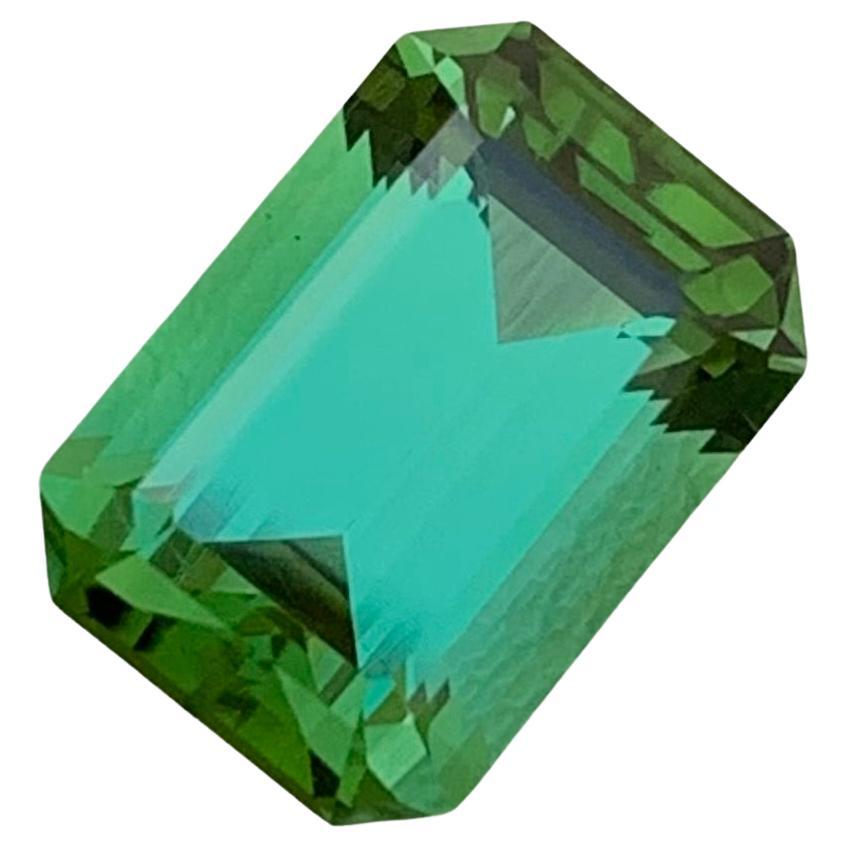 3.40 Carat Natural Loose Blueish Green Tourmaline Emerald Shape Gem Earth Mine For Sale