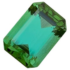 Tourmaline verte menthe naturelle non sertie de 3,40 carats en forme d'émeraude, extraite d'une mine de terre