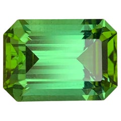 3,40 Karat Natürlicher bläulich grüner Turmalin Loser Edelstein