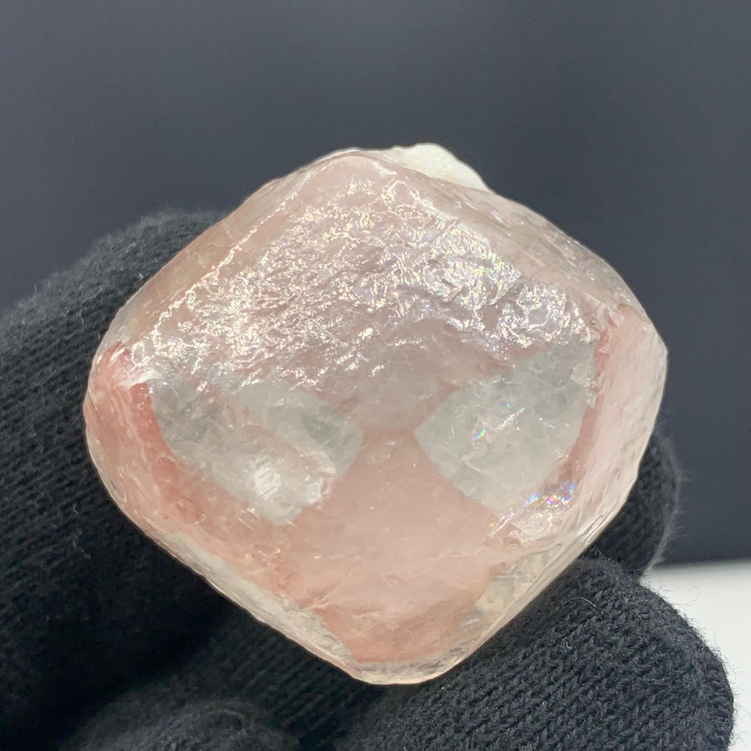 34.04 Gram Adorable Spider Eye Calcite crystal  From Balochistan, Pakistan 
Weight: 34.04 Gram 
Dimension: 3 x 3 x 2 Cm
Origin: Balochistan, Pakistan 

Calcite cleanses and improves the functions of the kidneys, pancreas, and spleen. It dissolves