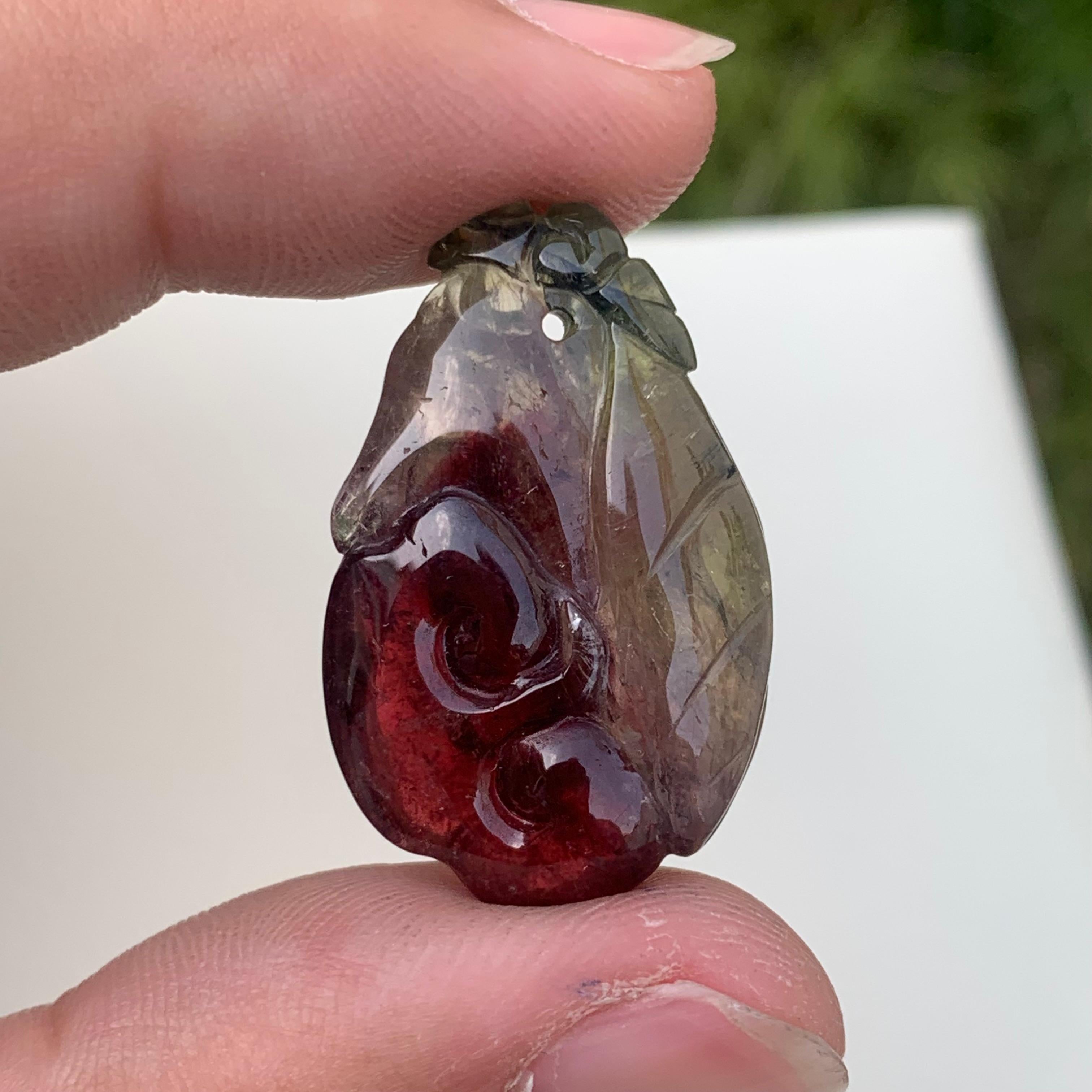 Crystal 34.60 Carat Amazing Bi Color Fruit Shape Tourmaline Drilled Carving from Africa For Sale