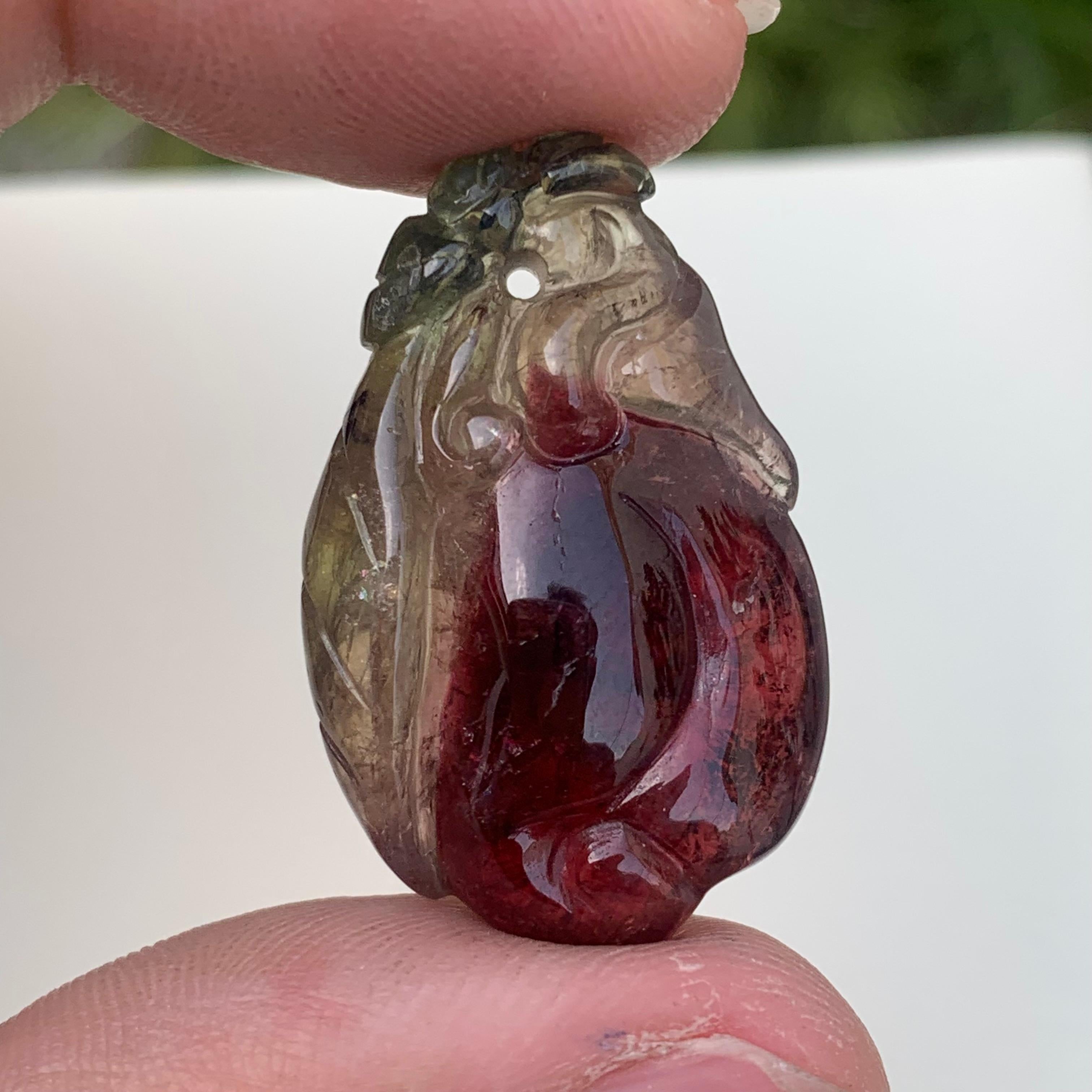 Malgache Magnifique tourmaline bicolore teintée en forme de fruit de 34,60 carats, Afrique  en vente