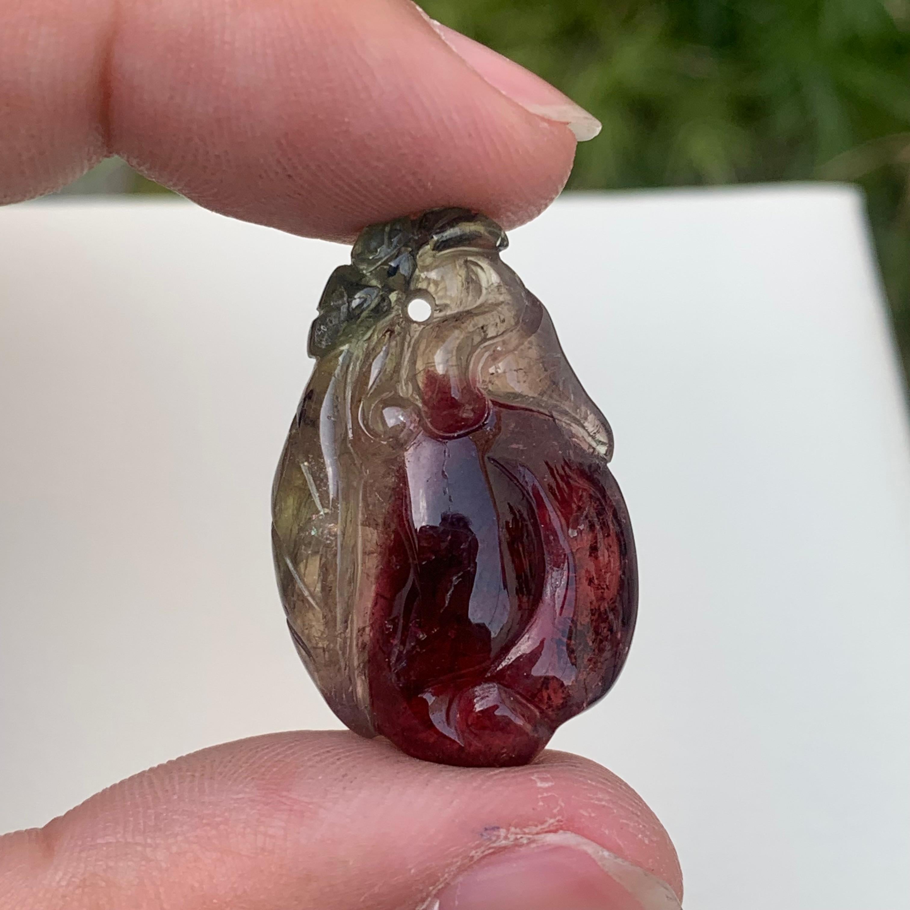 Malagasy 34.60 Carat Amazing Bi Color Fruit Shape Tourmaline Drilled Carving from Africa For Sale