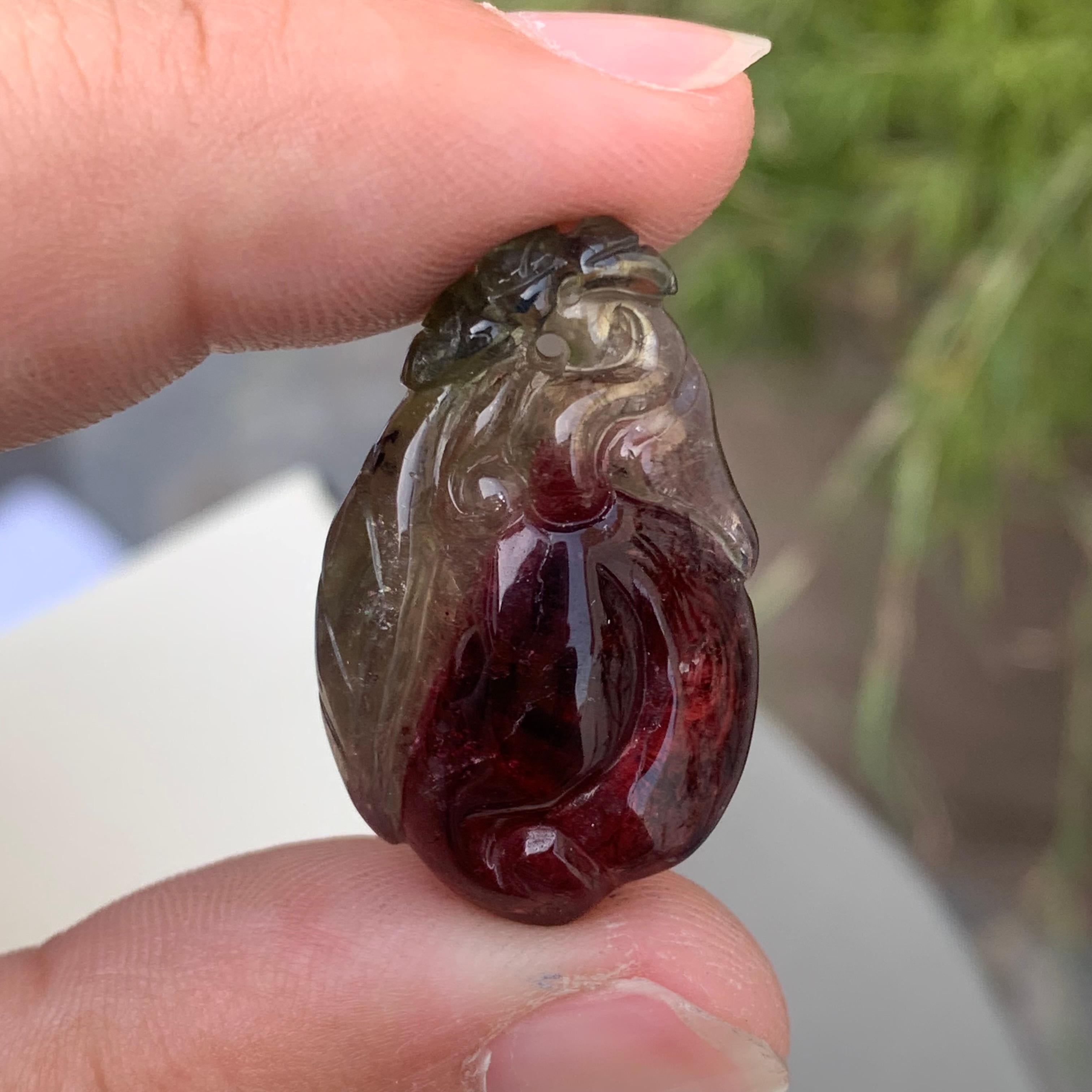 Carved 34.60 Carat Amazing Bi Color Fruit Shape Tourmaline Drilled Carving from Africa For Sale