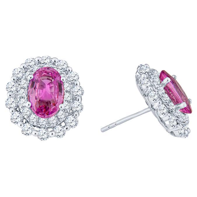 3.47ctw Oval Pink Sapphire with 2.11ctw Double Diamond Halo Stud Earrings