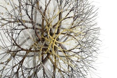 34"x34"x8" Metall-Wandskulptur aus Edelstahl in Edelstahl, Bronze und Messing #775