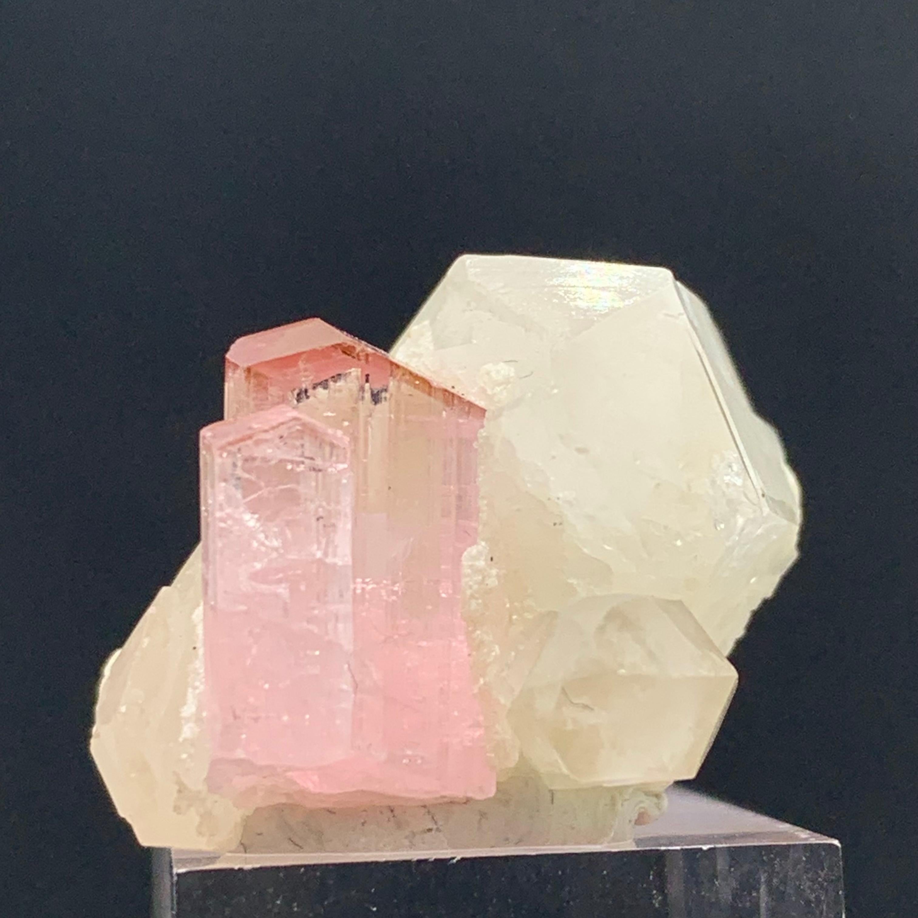 Cristal de roche Spécimen de tourmaline rose taillée en 35 carats avec quartz de Kunar, Afghanistan  en vente