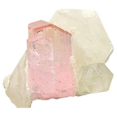 Spécimen de tourmaline rose taillée en 35 carats avec quartz de Kunar, Afghanistan 