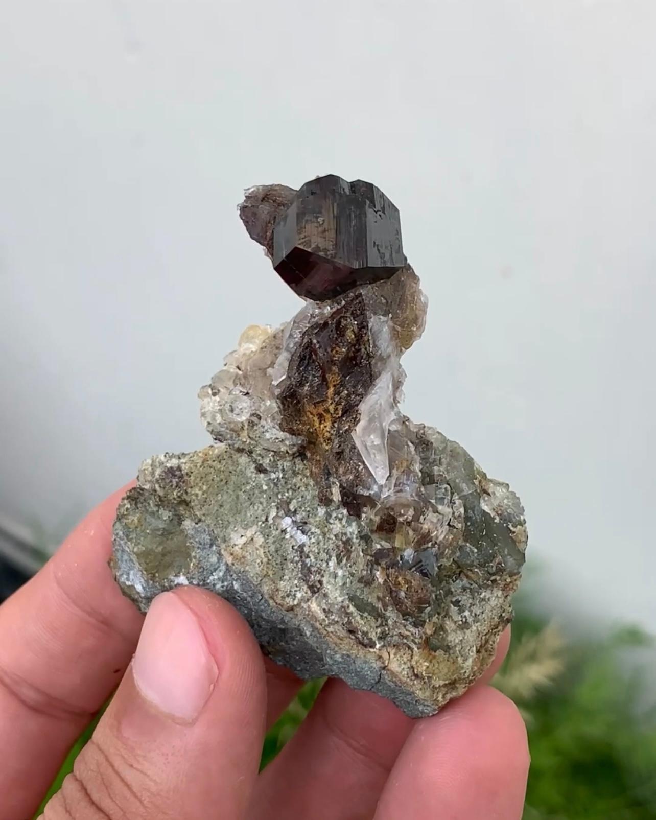 35 Grams Impressive Anatase Crystal On Matrix For Sale 3