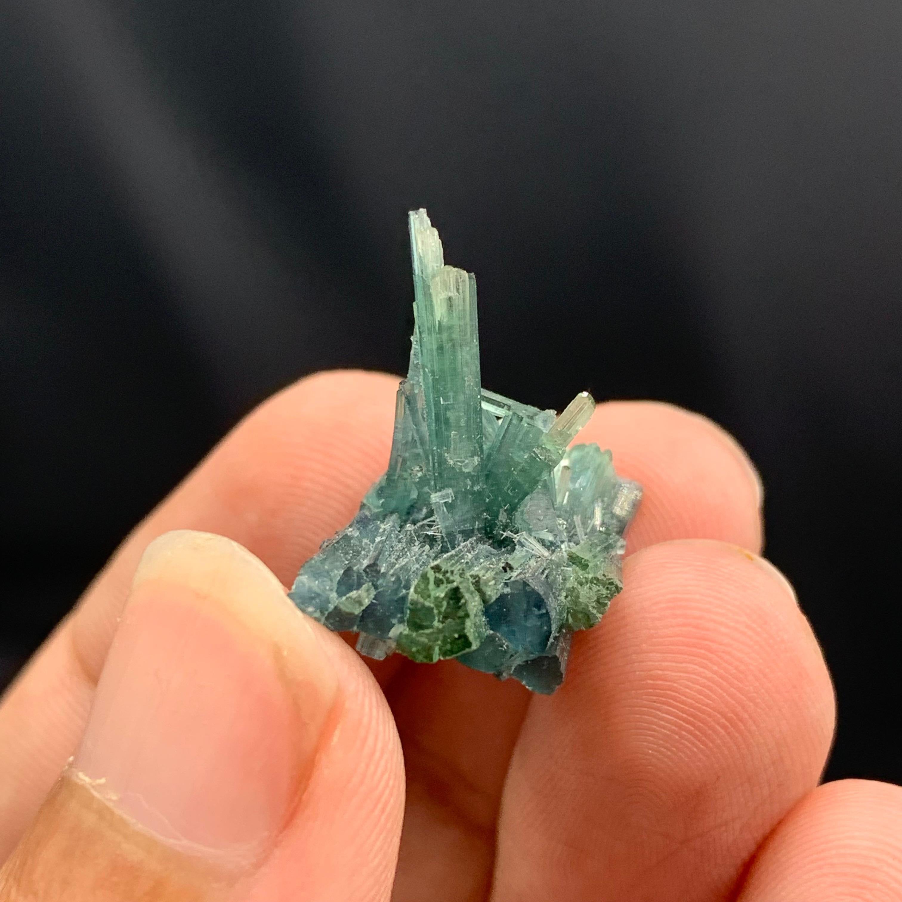 Style Adam Cluster de qualité de 3,5 grammes de cristaux de tourmaline naturelle d'Afghanistan en vente