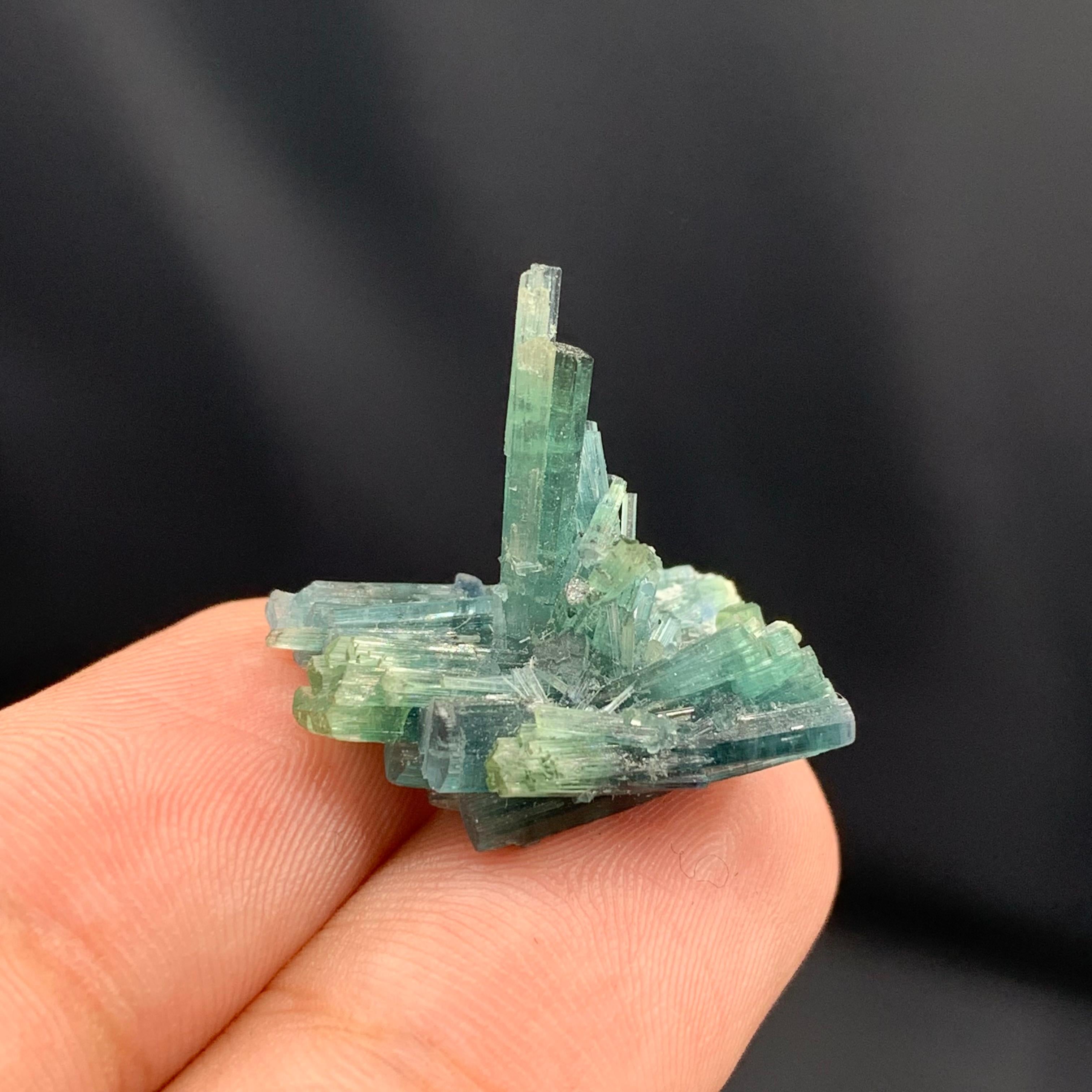 Cluster de qualité de 3,5 grammes de cristaux de tourmaline naturelle d'Afghanistan Bon état - En vente à Peshawar, PK