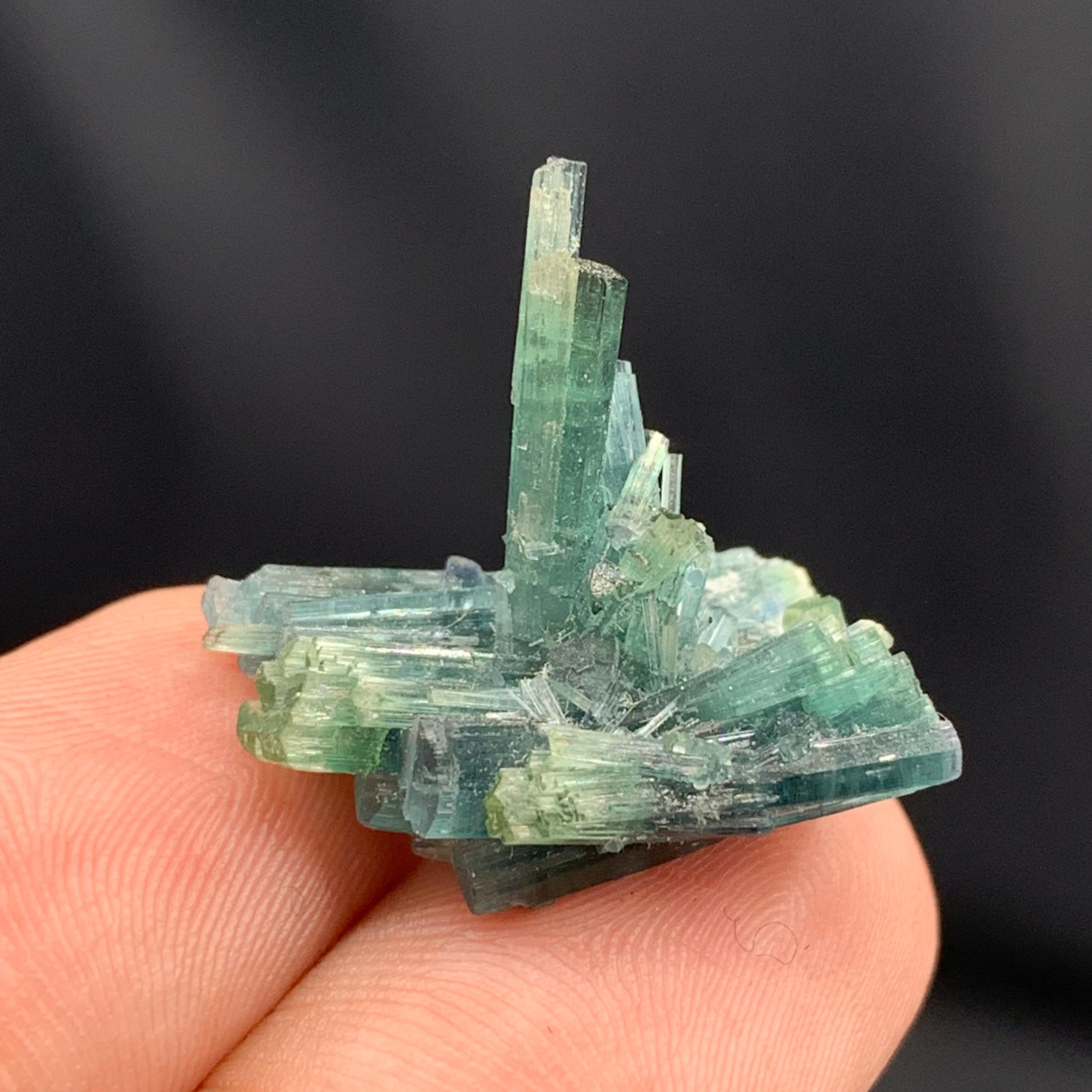 XXIe siècle et contemporain Cluster de qualité de 3,5 grammes de cristaux de tourmaline naturelle d'Afghanistan en vente