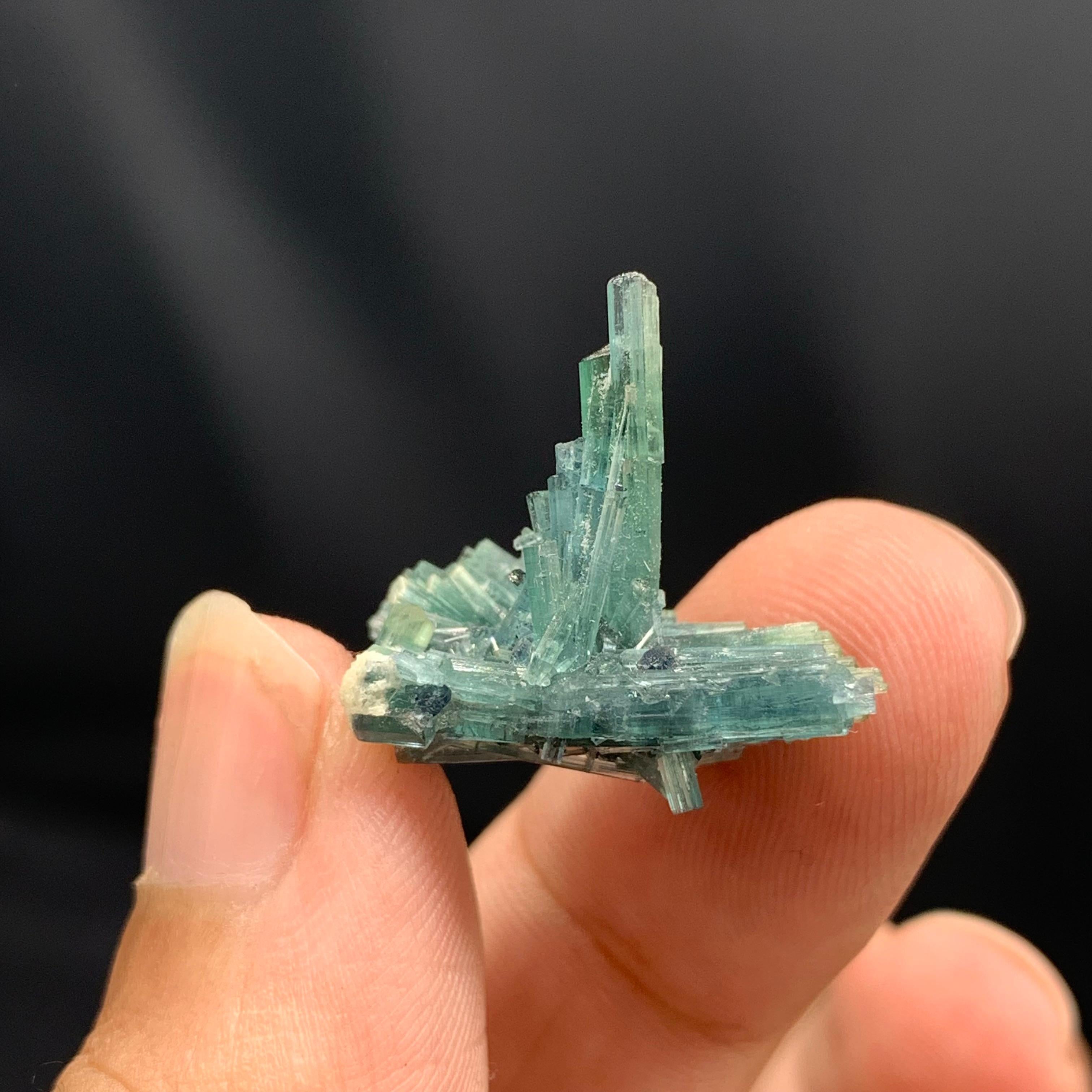 Autre Cluster de qualité de 3,5 grammes de cristaux de tourmaline naturelle d'Afghanistan en vente