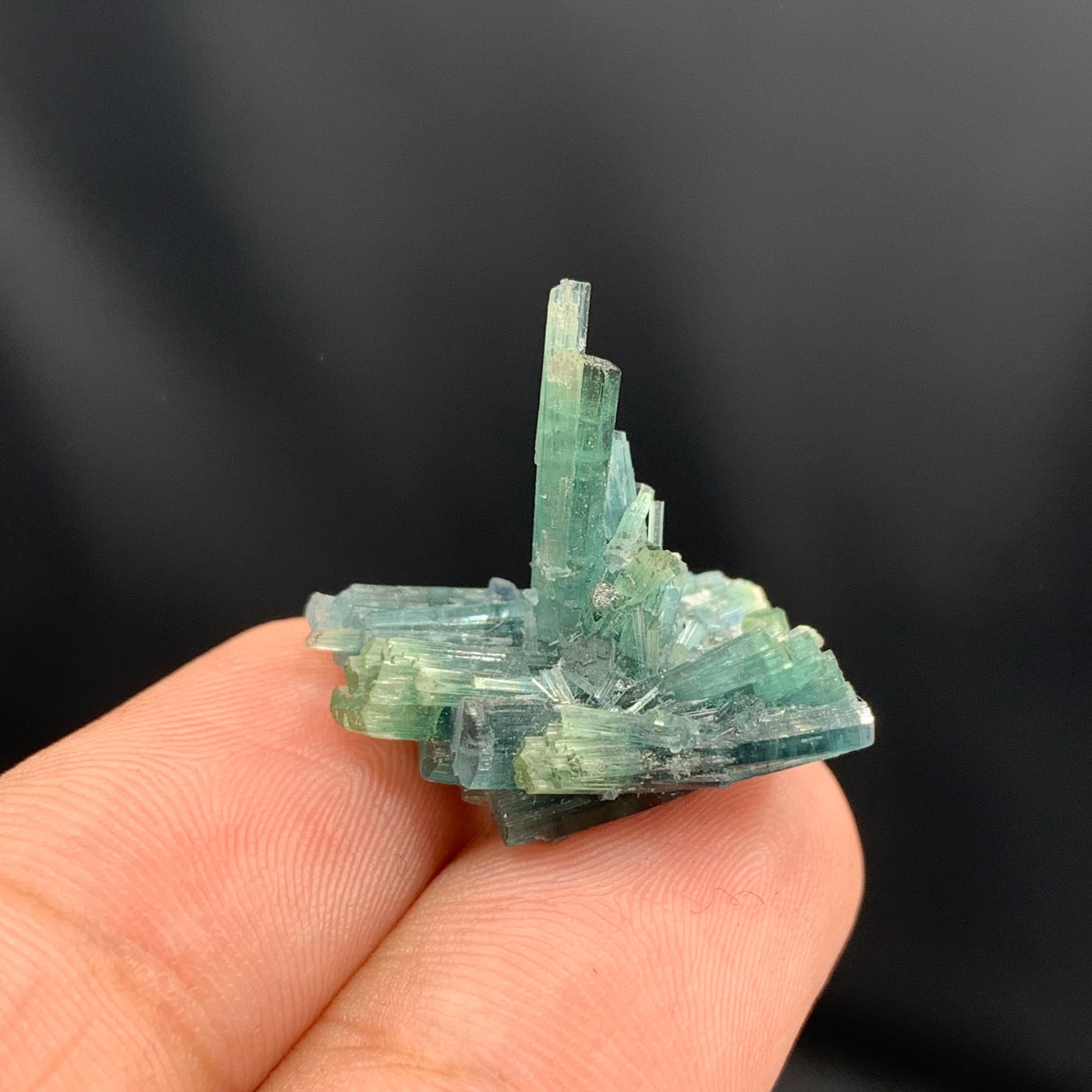 Cluster de qualité de 3,5 grammes de cristaux de tourmaline naturelle d'Afghanistan en vente 1