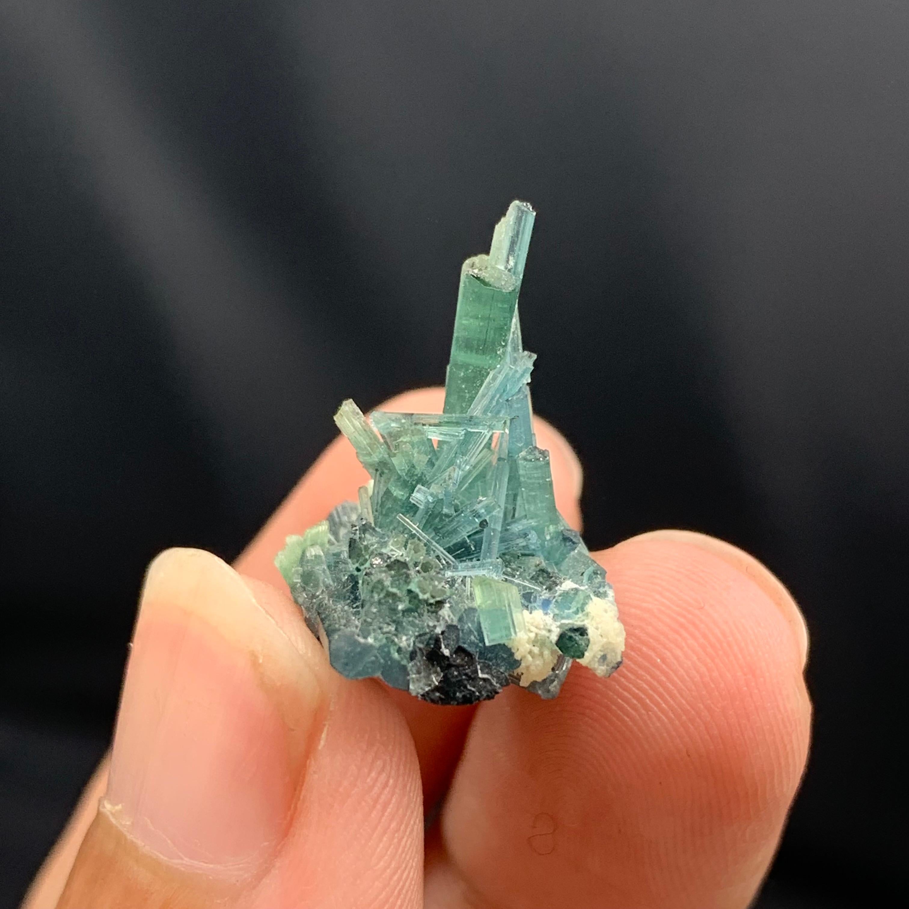 Cluster de qualité de 3,5 grammes de cristaux de tourmaline naturelle d'Afghanistan en vente 2