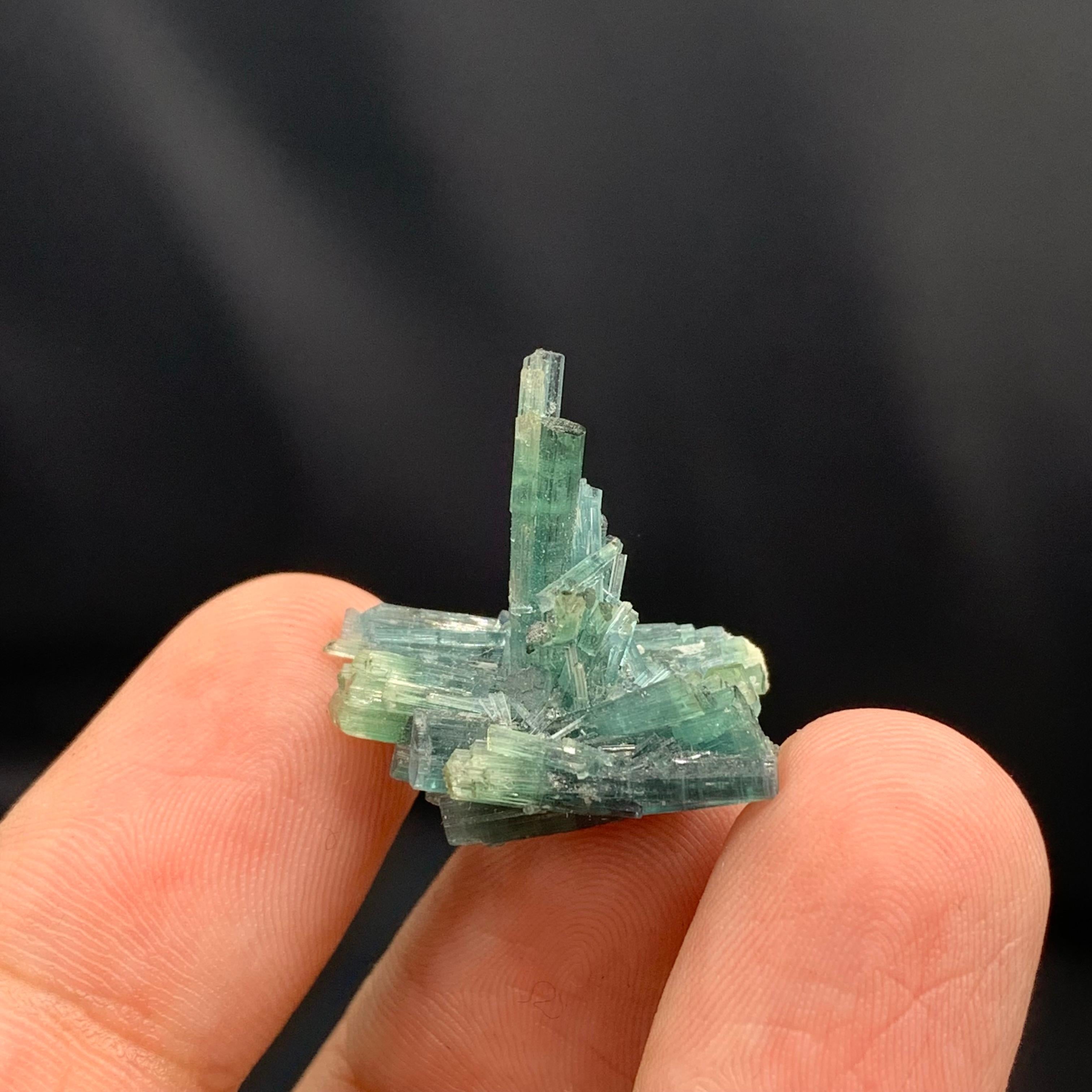 Cluster de qualité de 3,5 grammes de cristaux de tourmaline naturelle d'Afghanistan en vente 3