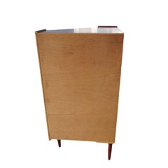 Scandinavian Rosewood Corner Cabinet