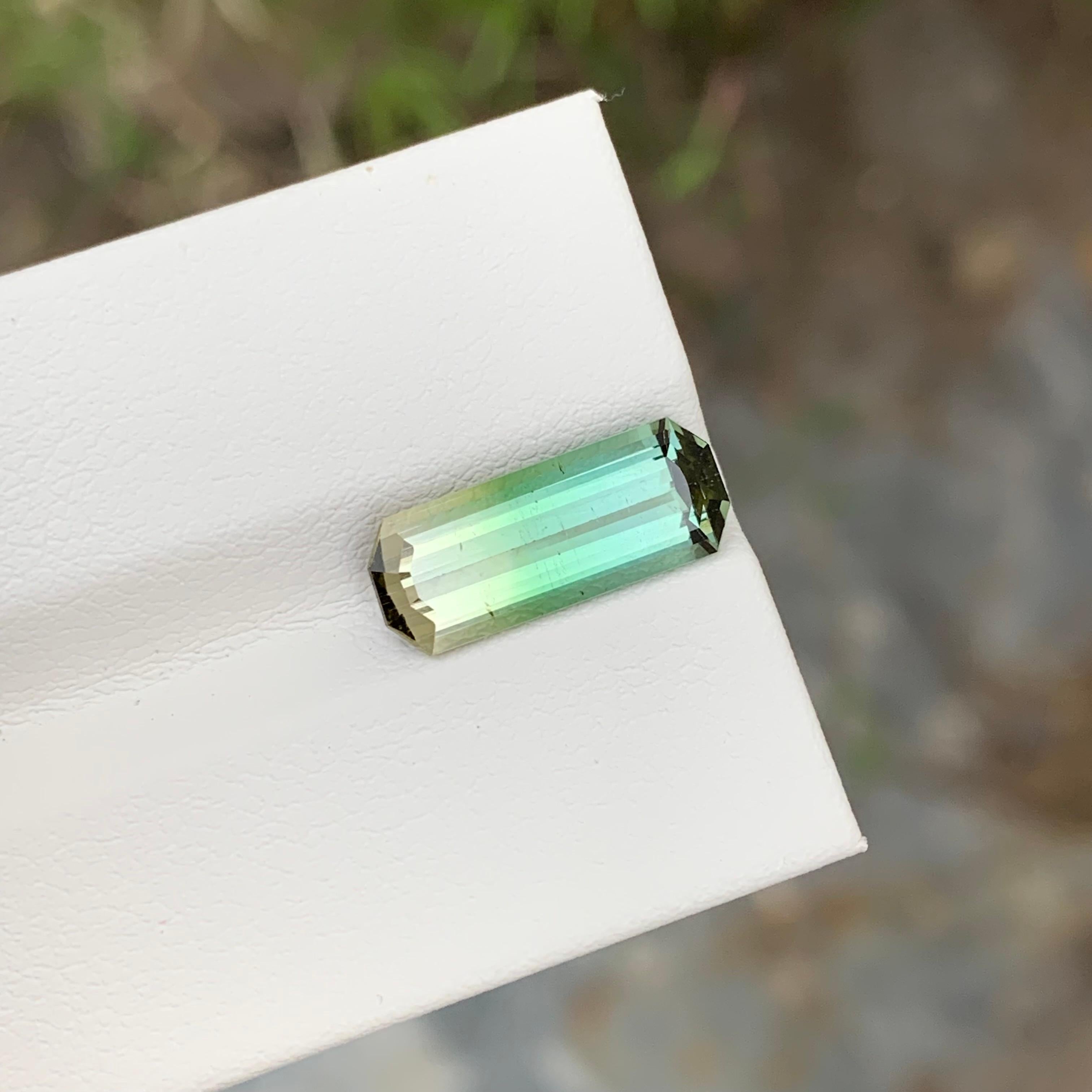 Loose Bi Colour Tourmaline

Weight: 3.50 Carats
Dimension: 15.3 x 6 x 4.2 Mm
Colour: Green And Yellow 
Origin: Africa
Certificate: On Demand
Treatment: Non

Tourmaline is a captivating gemstone known for its remarkable variety of colors, making it a
