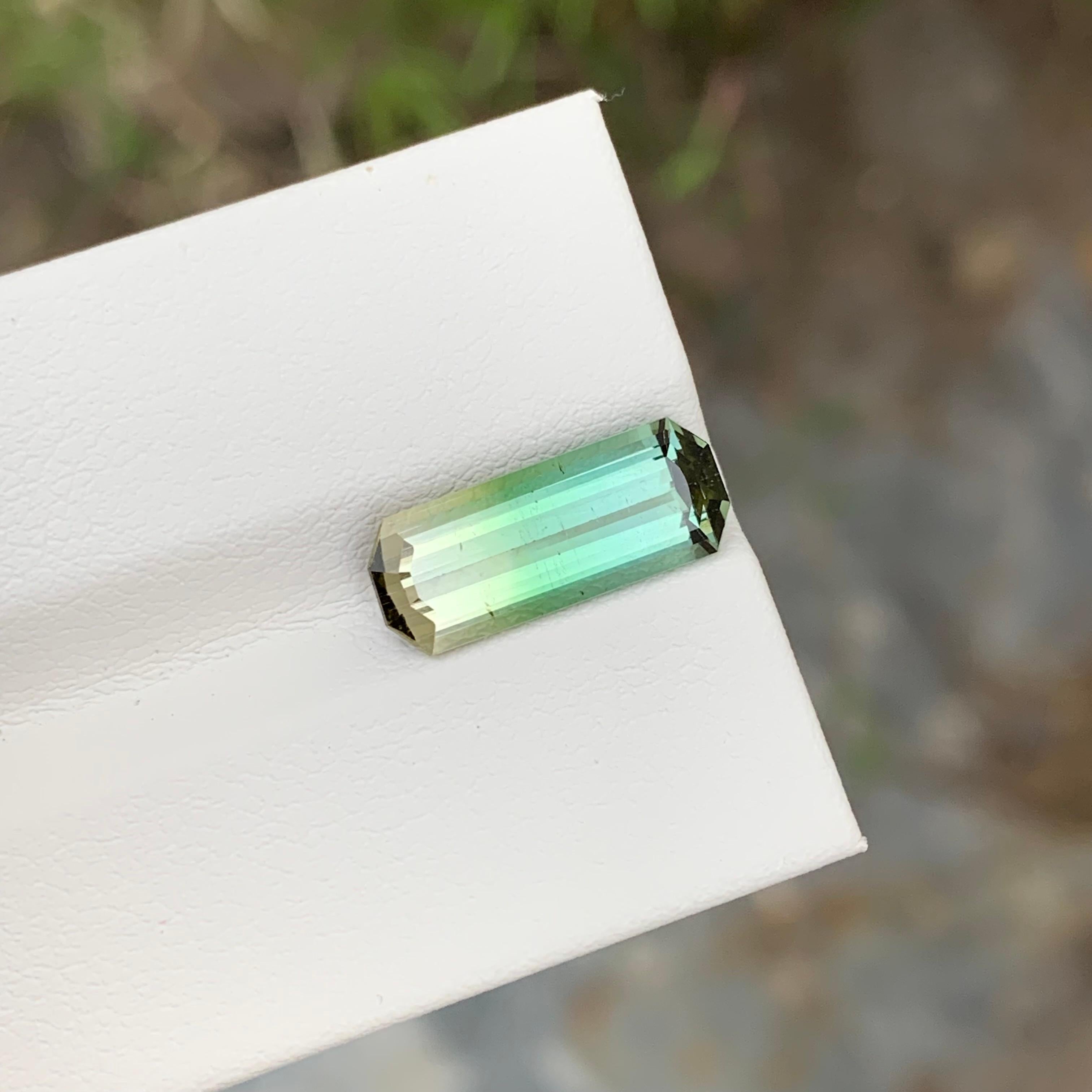 Loser zweifarbiger Turmalin

Gewicht: 3,50 Karat
Abmessungen: 15,3 x 6 x 4,2 mm
Farbe: Grün und Gelb 
Herkunft: Afrika
Zertifikat: Auf Anfrage
Behandlung: Nicht

Der Turmalin ist ein faszinierender Edelstein, der für seine bemerkenswerte