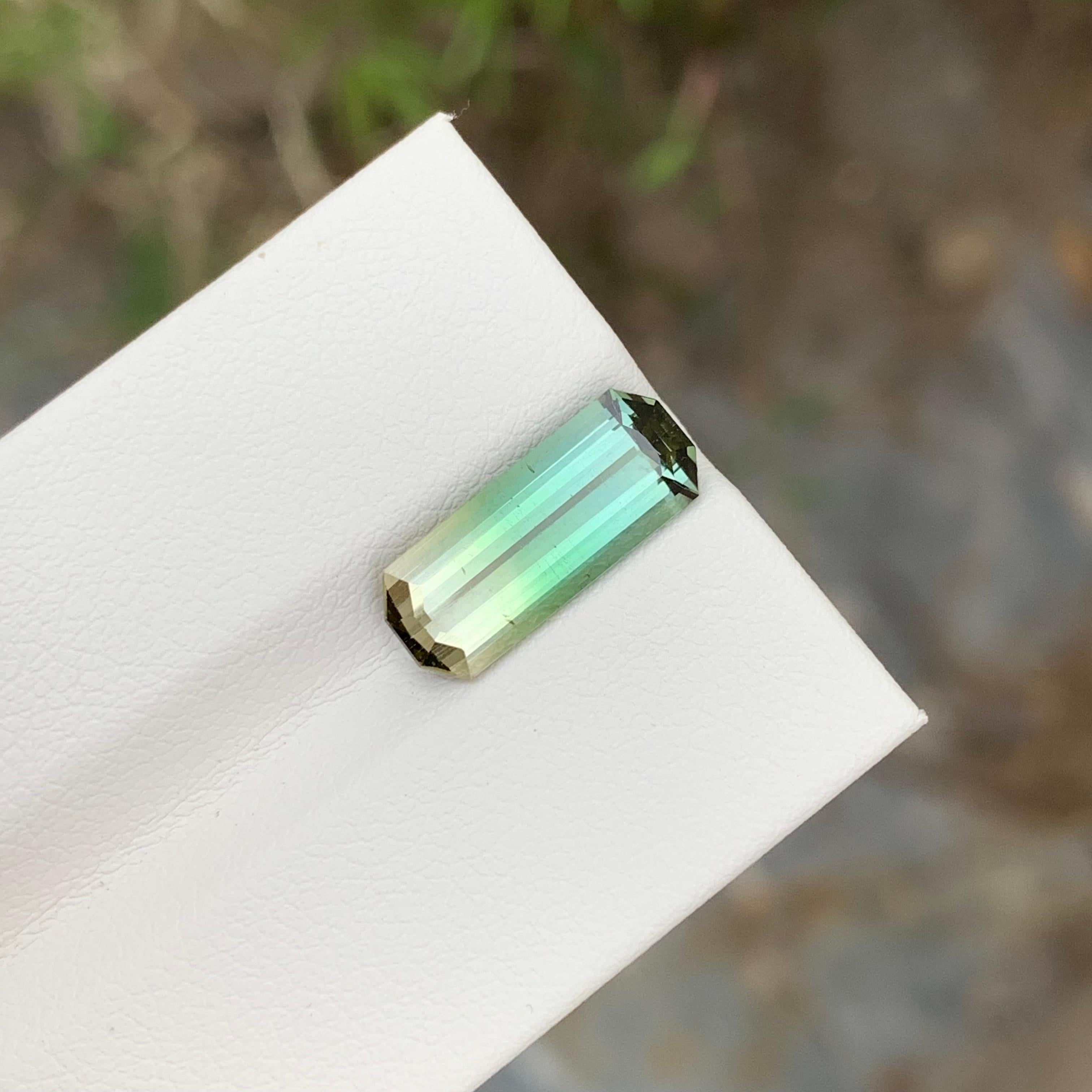 3,50 Karat Natürliche Lose Bi Farbe Turmalin lange Smaragd Form Edelstein für Anhänger (Arts and Crafts) im Angebot