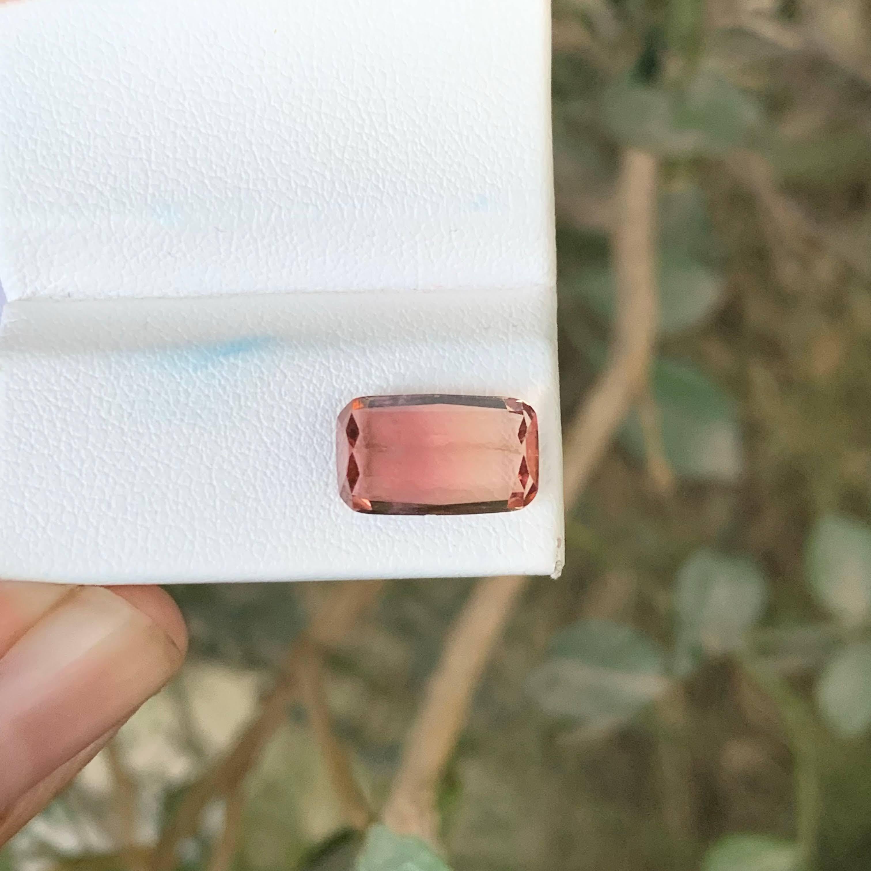 Femenino o masculino 3,50 quilates de turmalina bicolor natural suelta talla cojín gema africana en venta