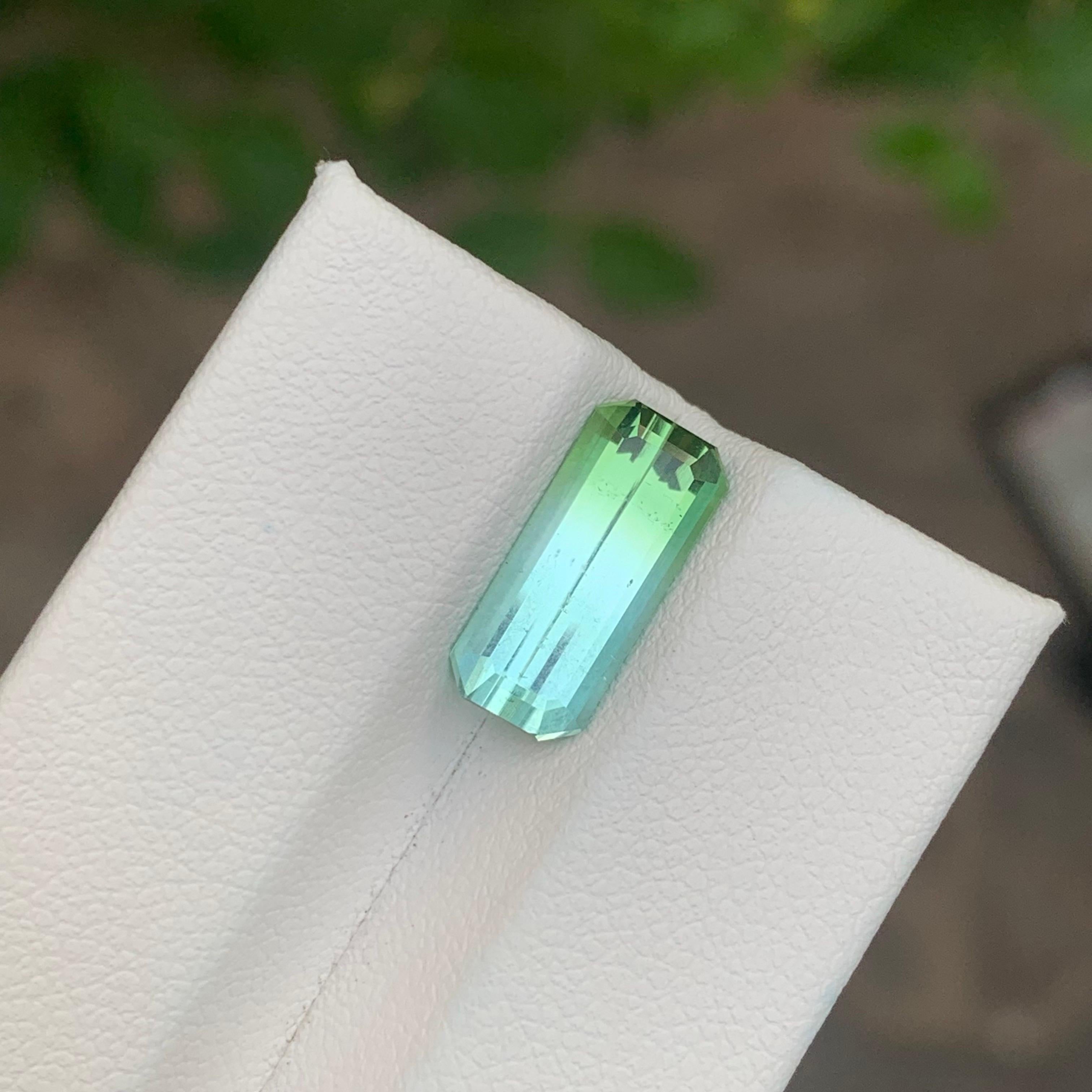 3,50 Karat Natürlicher loser zweifarbiger Turmalin Afghanistan's Edelstein im Angebot 7
