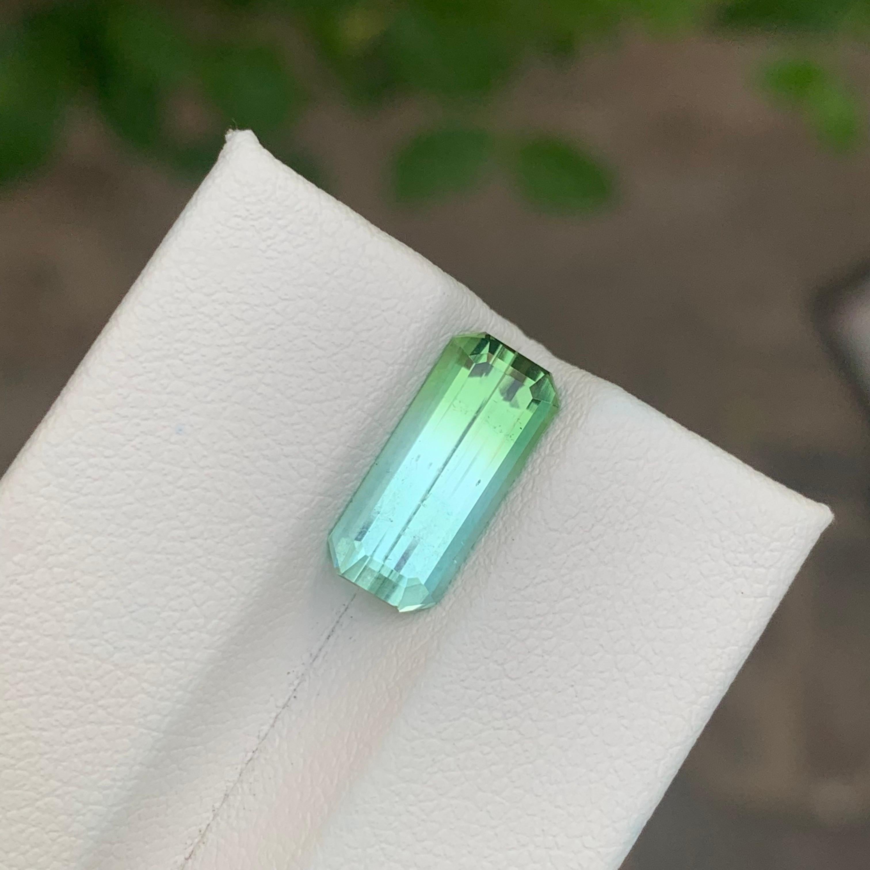 3,50 Karat Natürlicher loser zweifarbiger Turmalin Afghanistan's Edelstein im Angebot 1