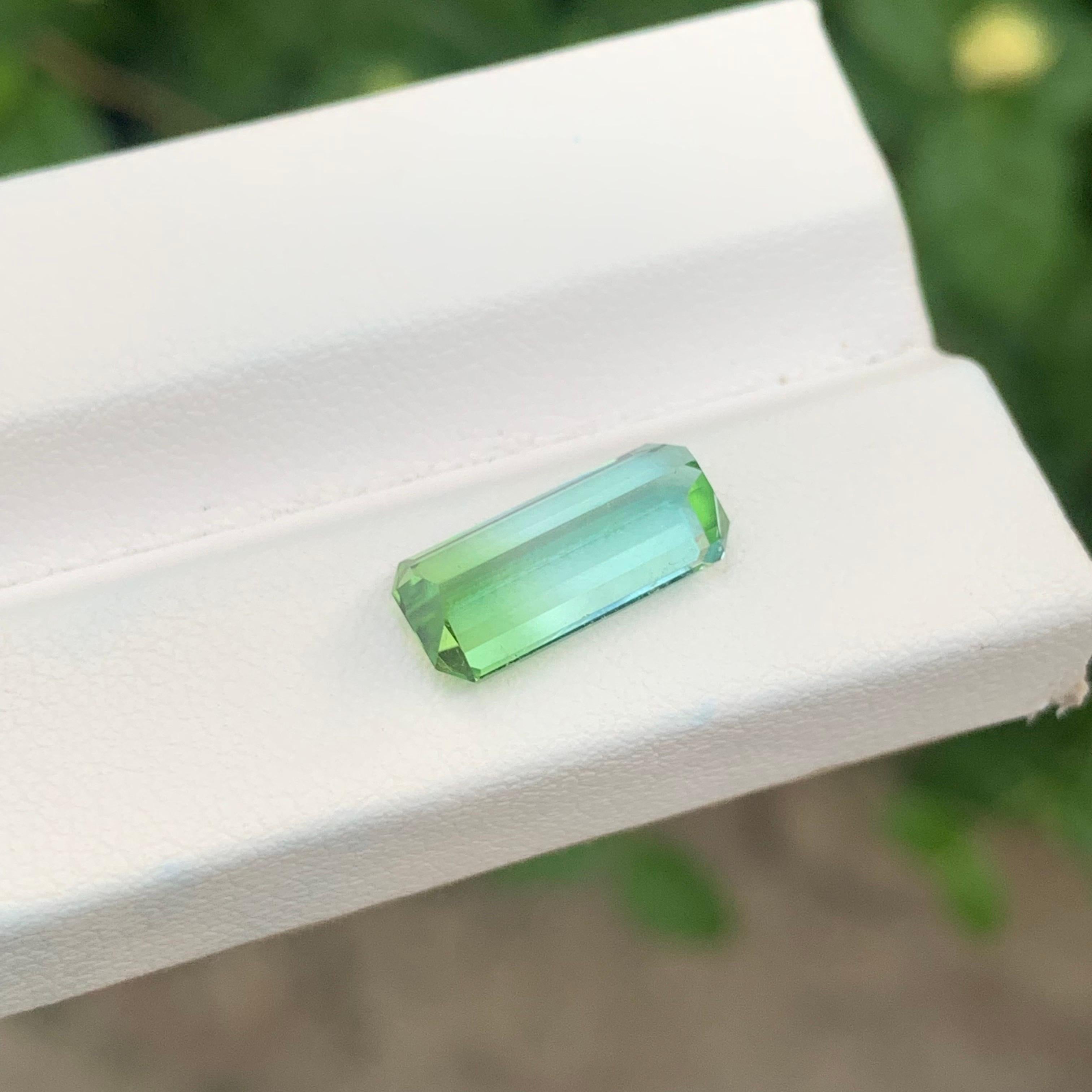 3,50 Karat Natürlicher loser zweifarbiger Turmalin Afghanistan's Edelstein im Angebot 3